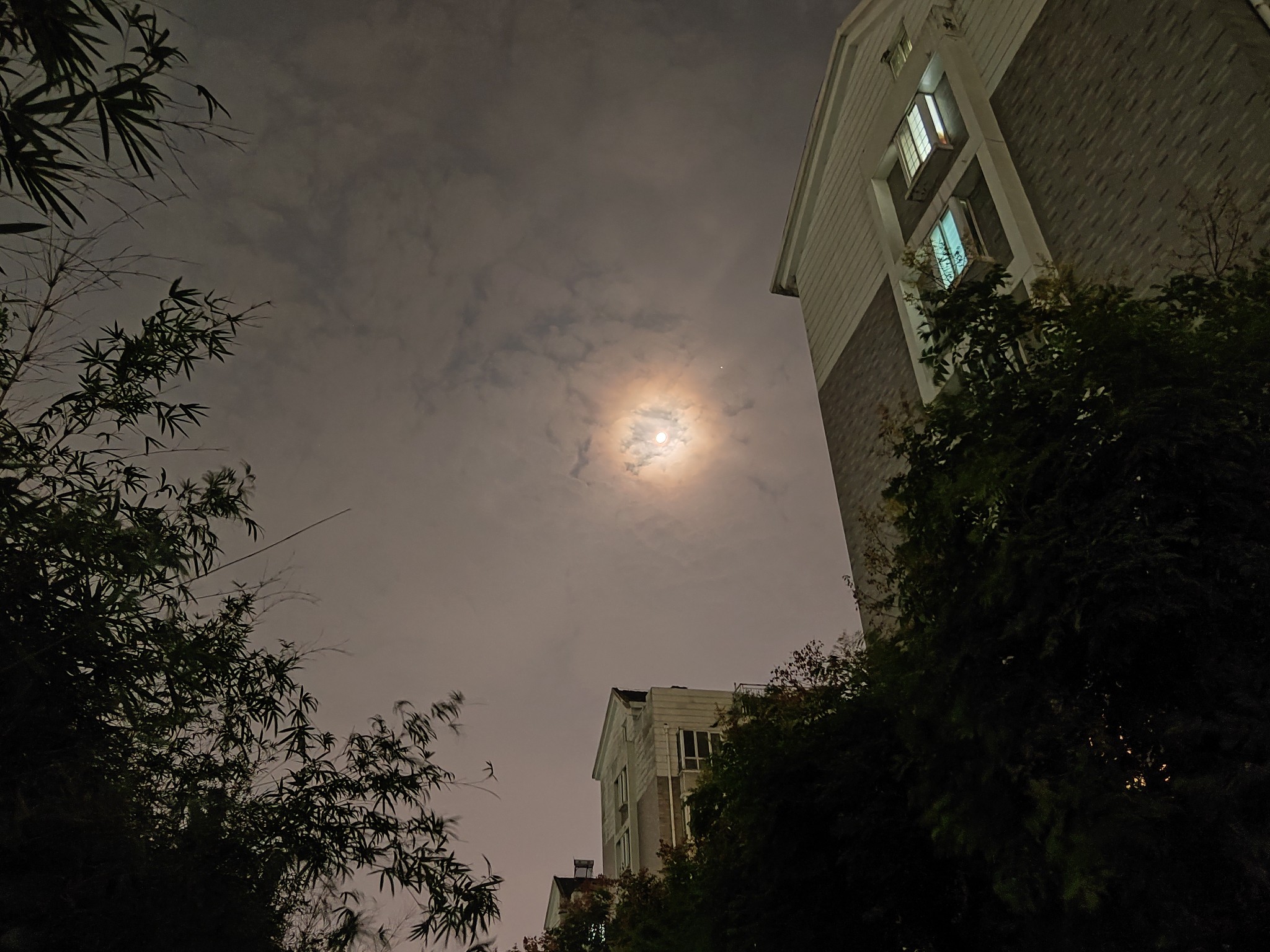IMG_20210918_220604.jpg