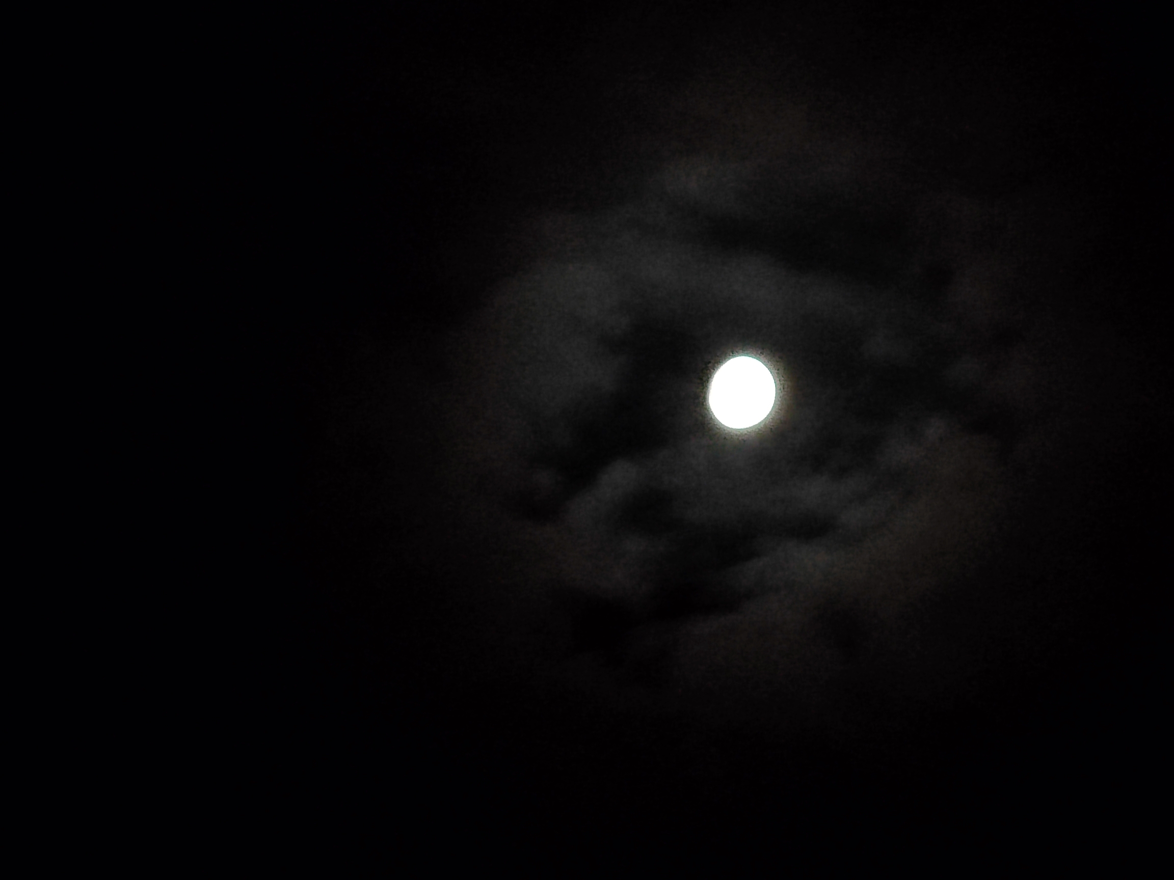 IMG_20210918_220549.jpg
