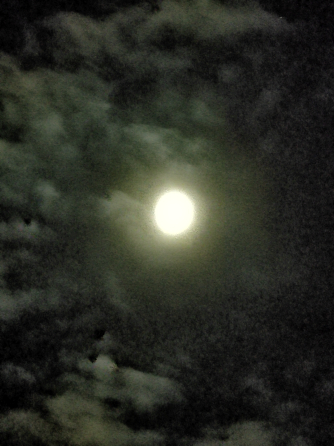 IMG_20210918_211240.jpg