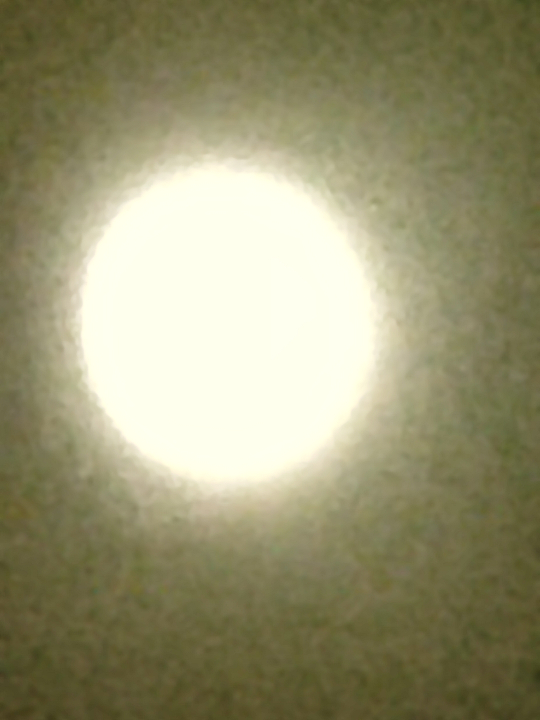 IMG_20210919_193910.jpg