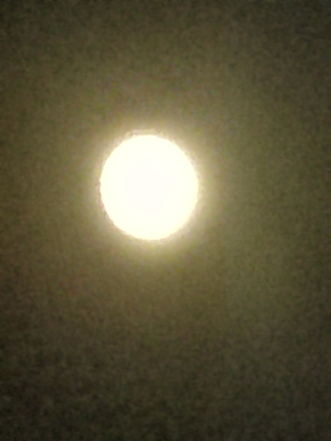 IMG_20210919_193159.jpg