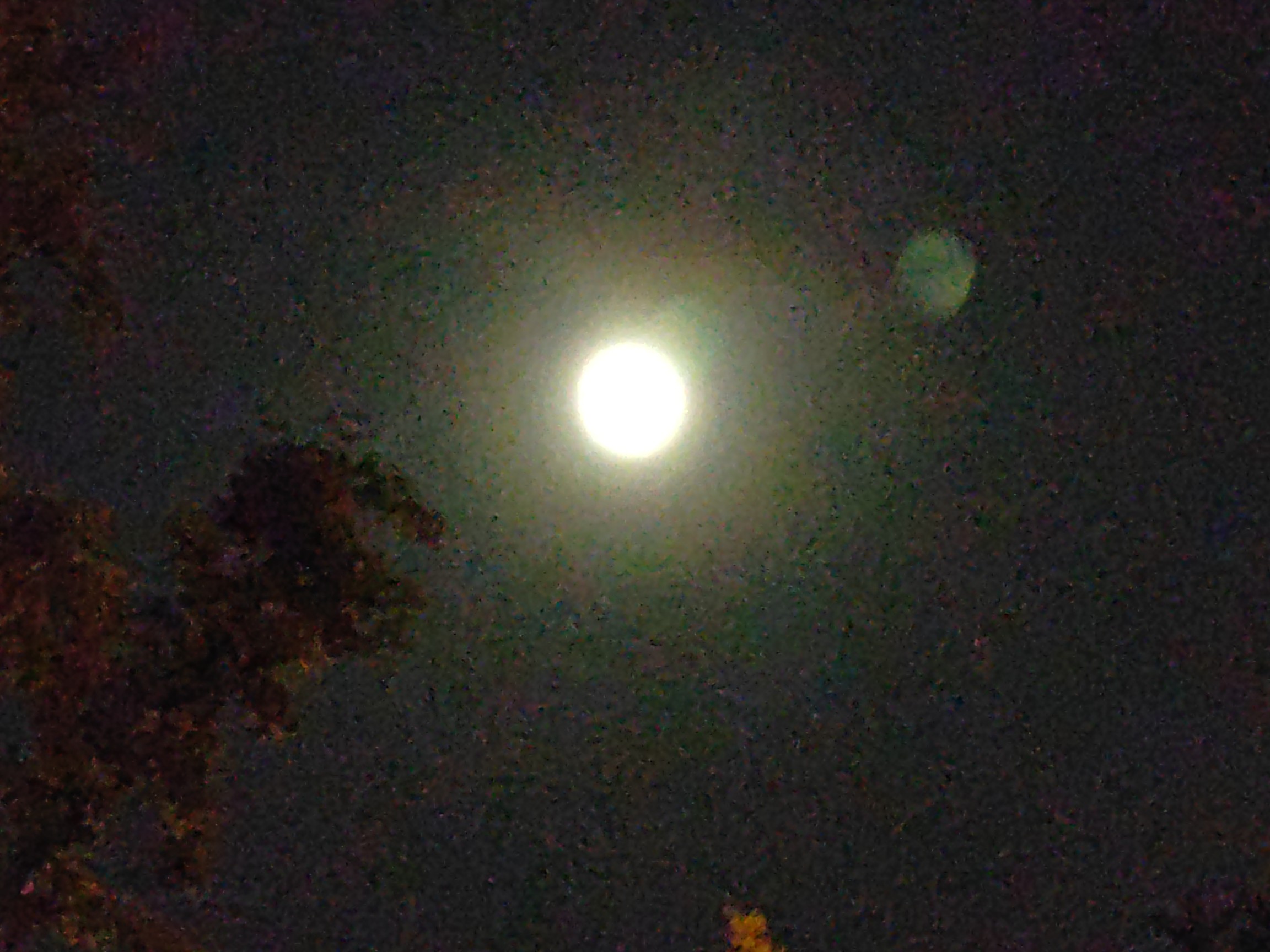 IMG_20210919_195400.jpg