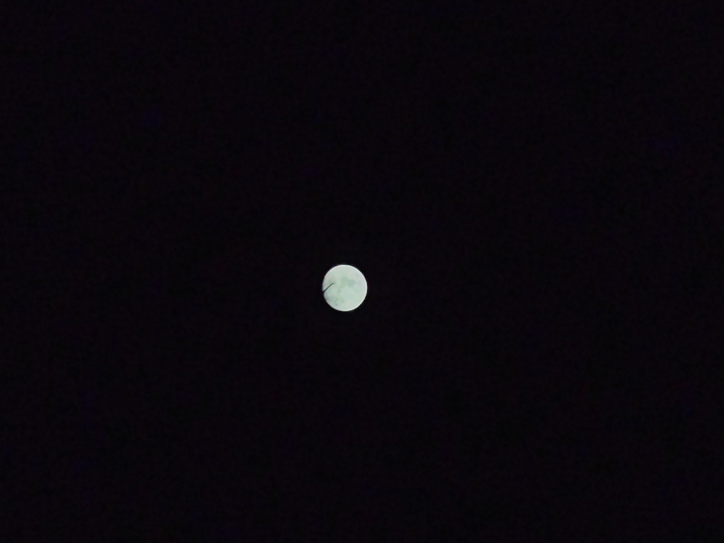 IMG_20210919_195655.jpg