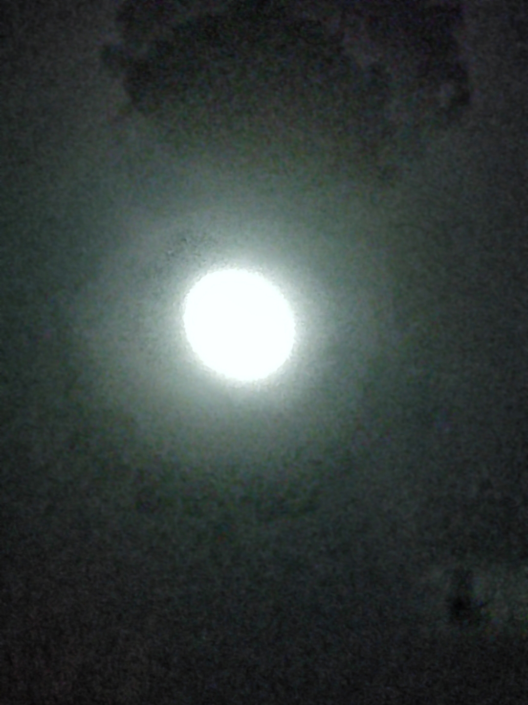IMG_20210919_195822.jpg