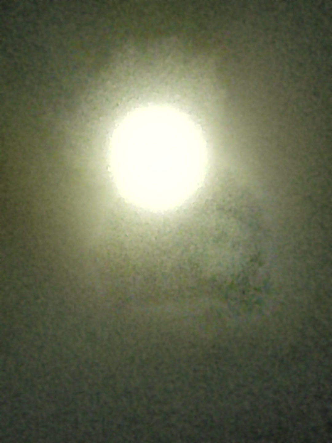 IMG_20210919_205323.jpg