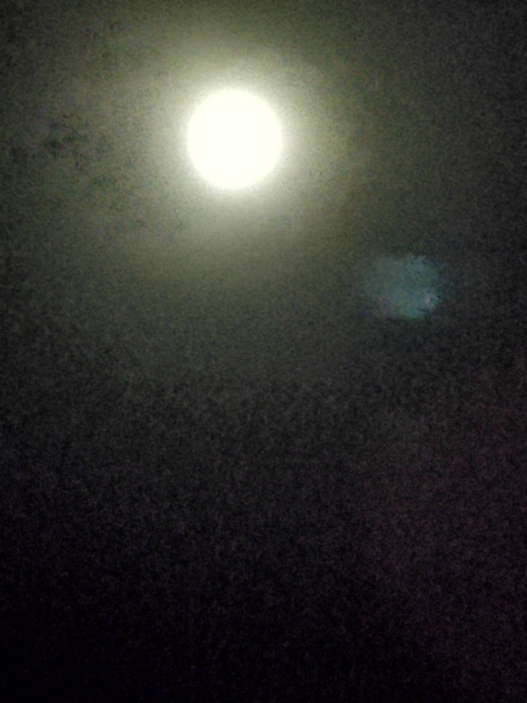 IMG_20210919_215117.jpg