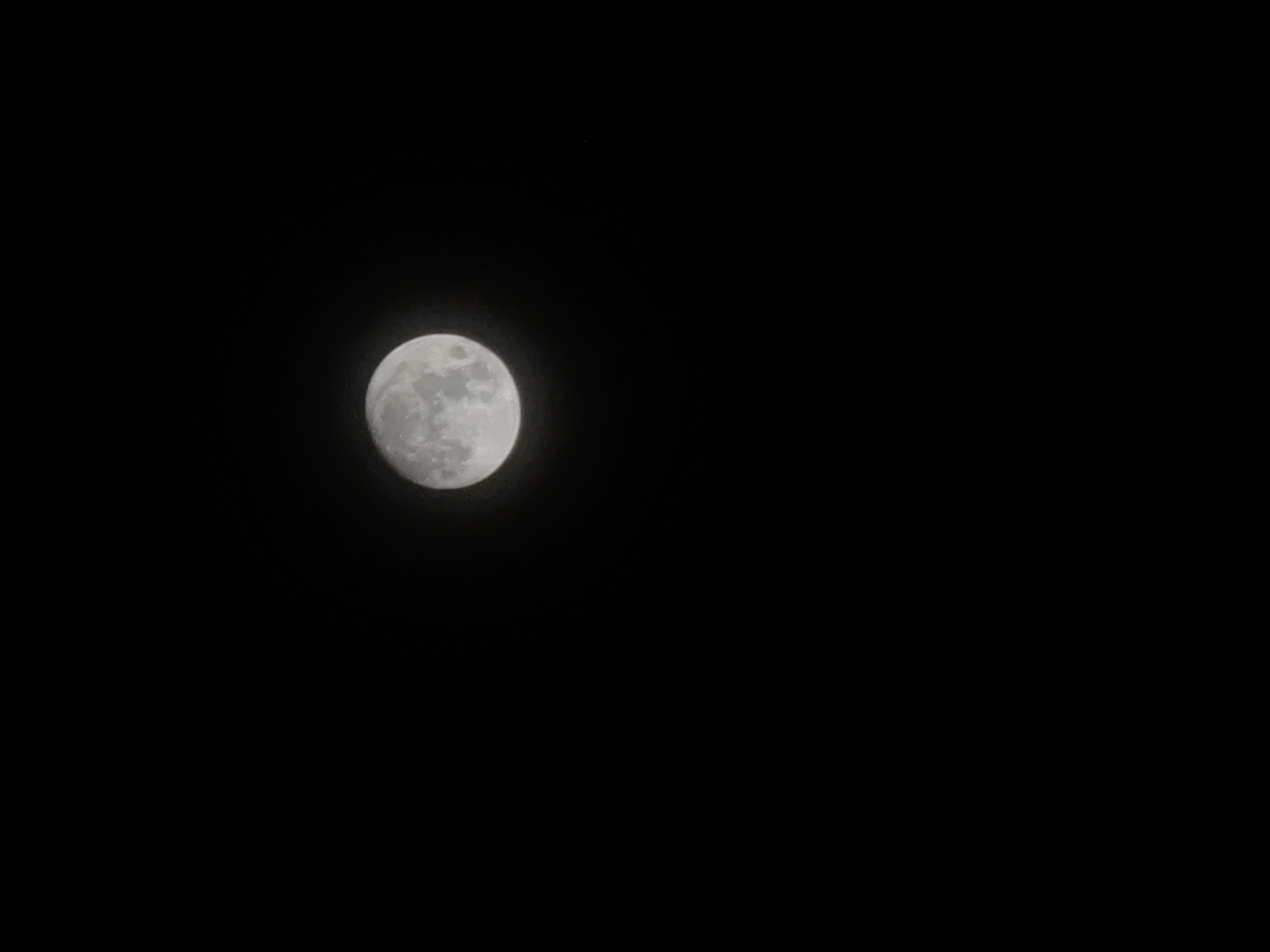 IMG_20210919_221429.jpg
