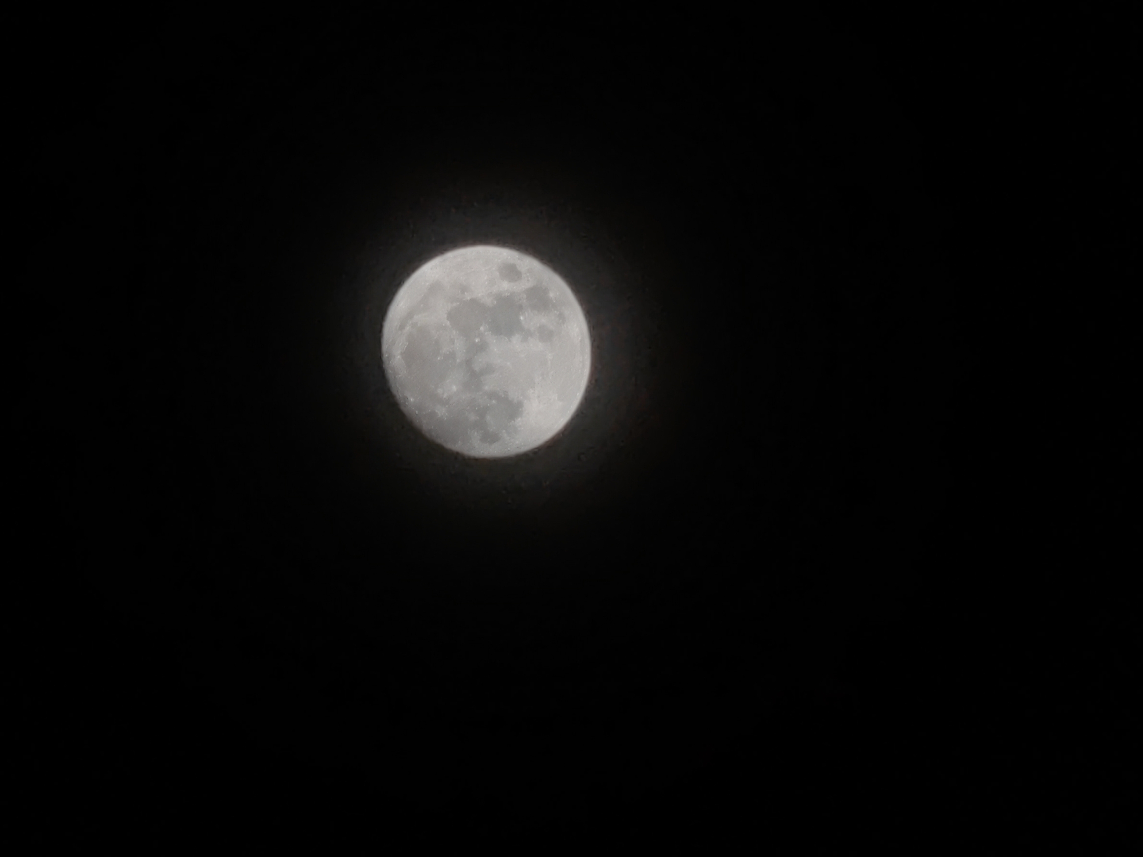 IMG_20210919_221517.jpg