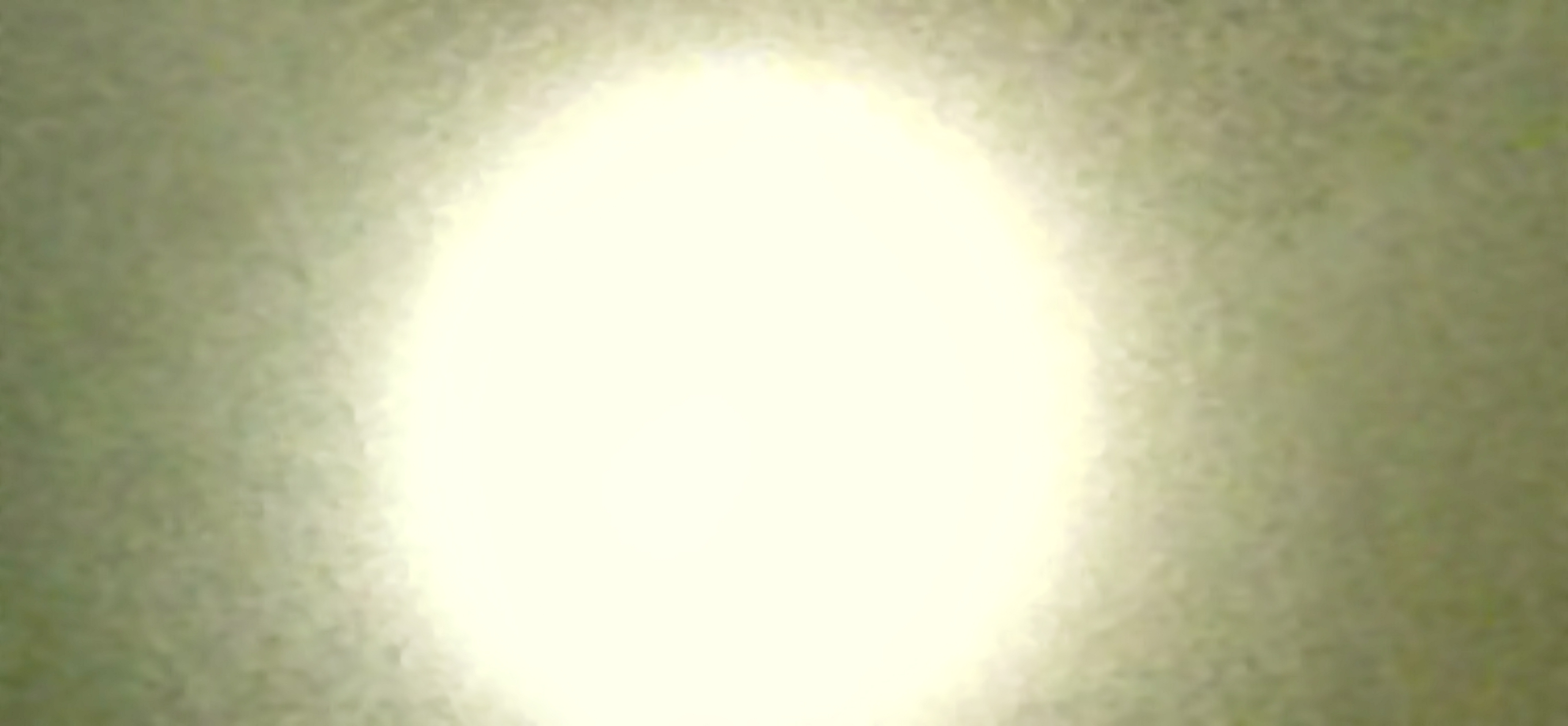 IMG_20210919_222433.jpg