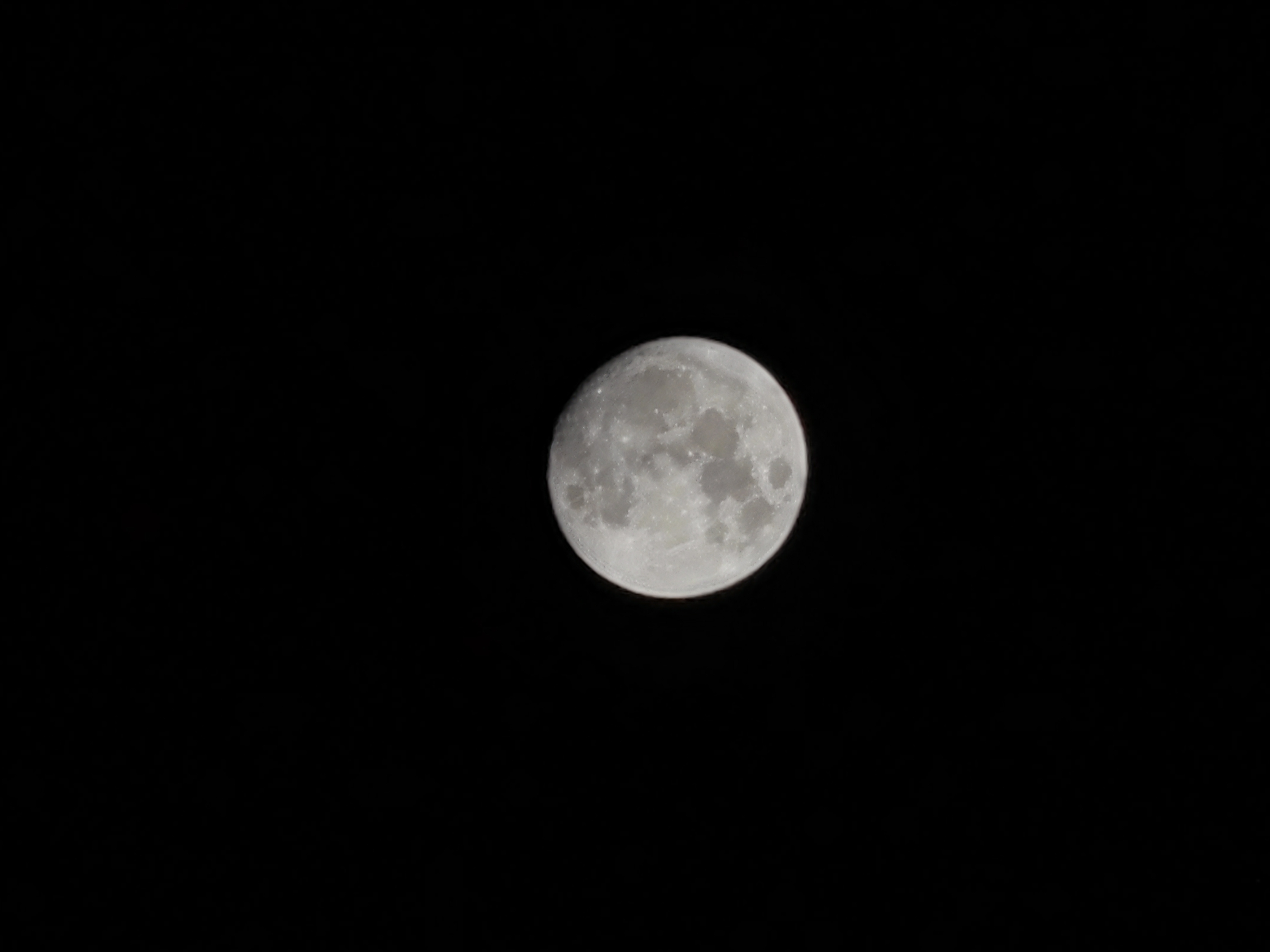 IMG_20210919_224644.jpg