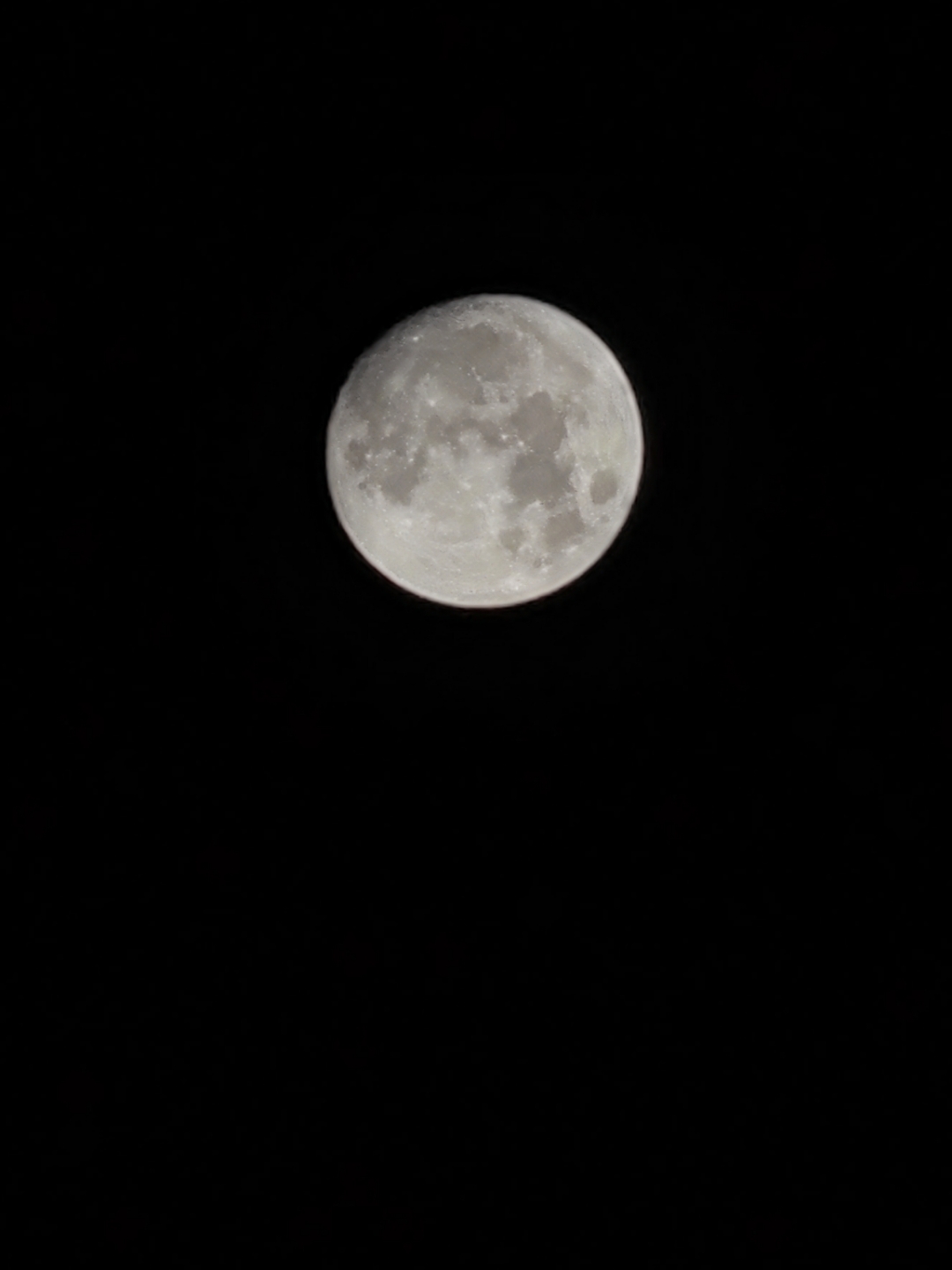 IMG_20210920_000943.jpg