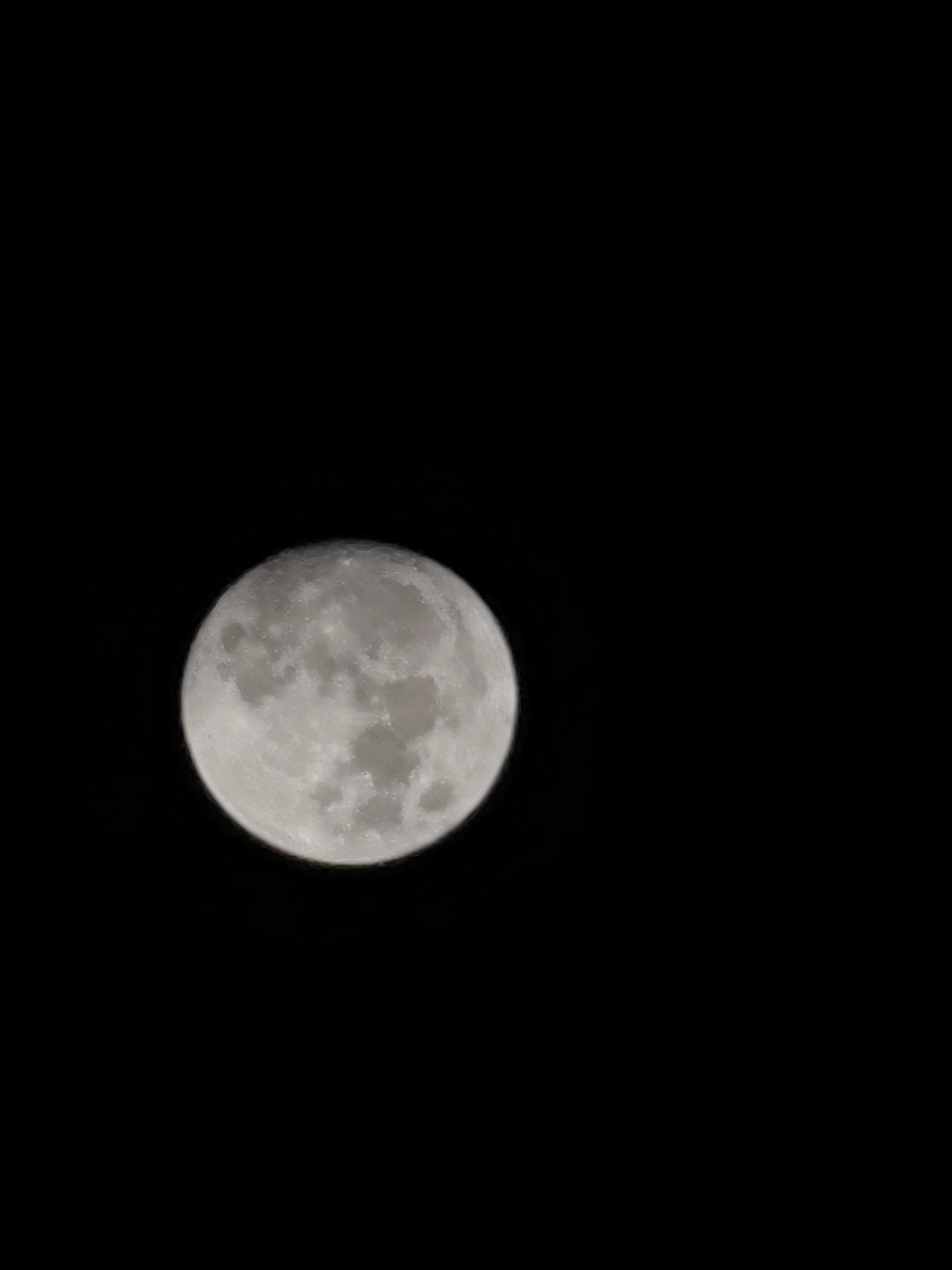 IMG_20210920_012359.jpg