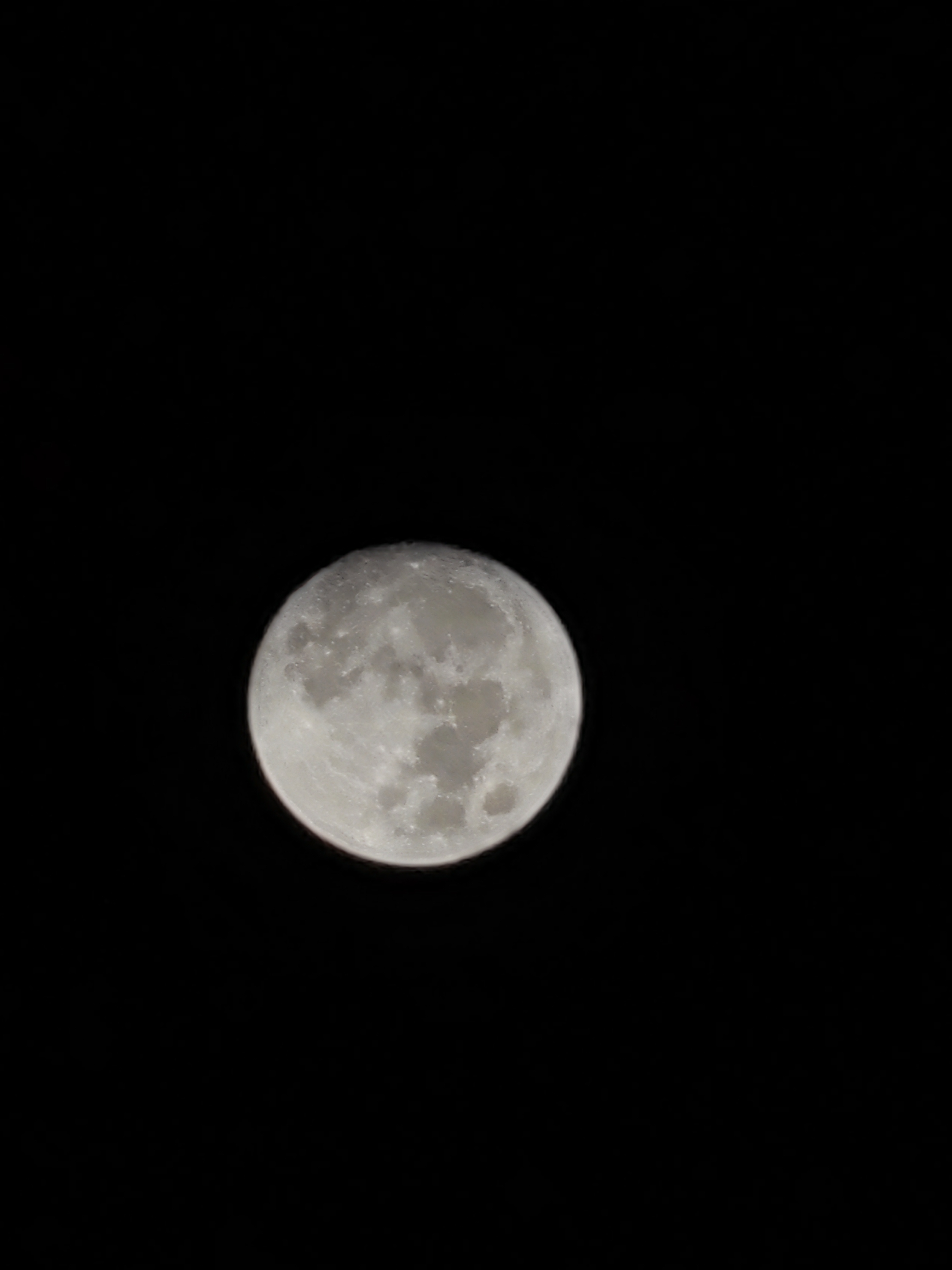 IMG_20210920_012356.jpg