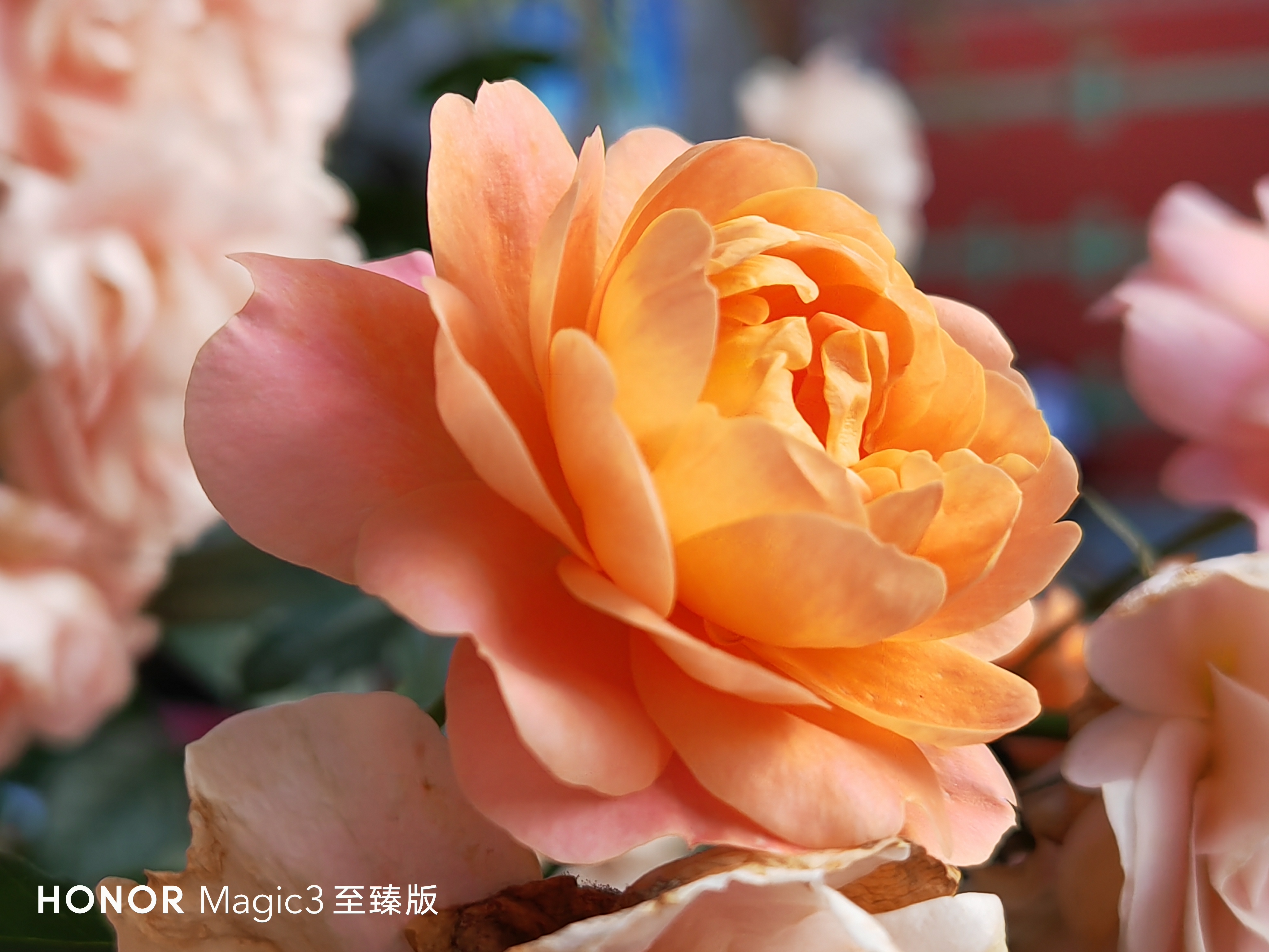 IMG_20210919_183024.jpg