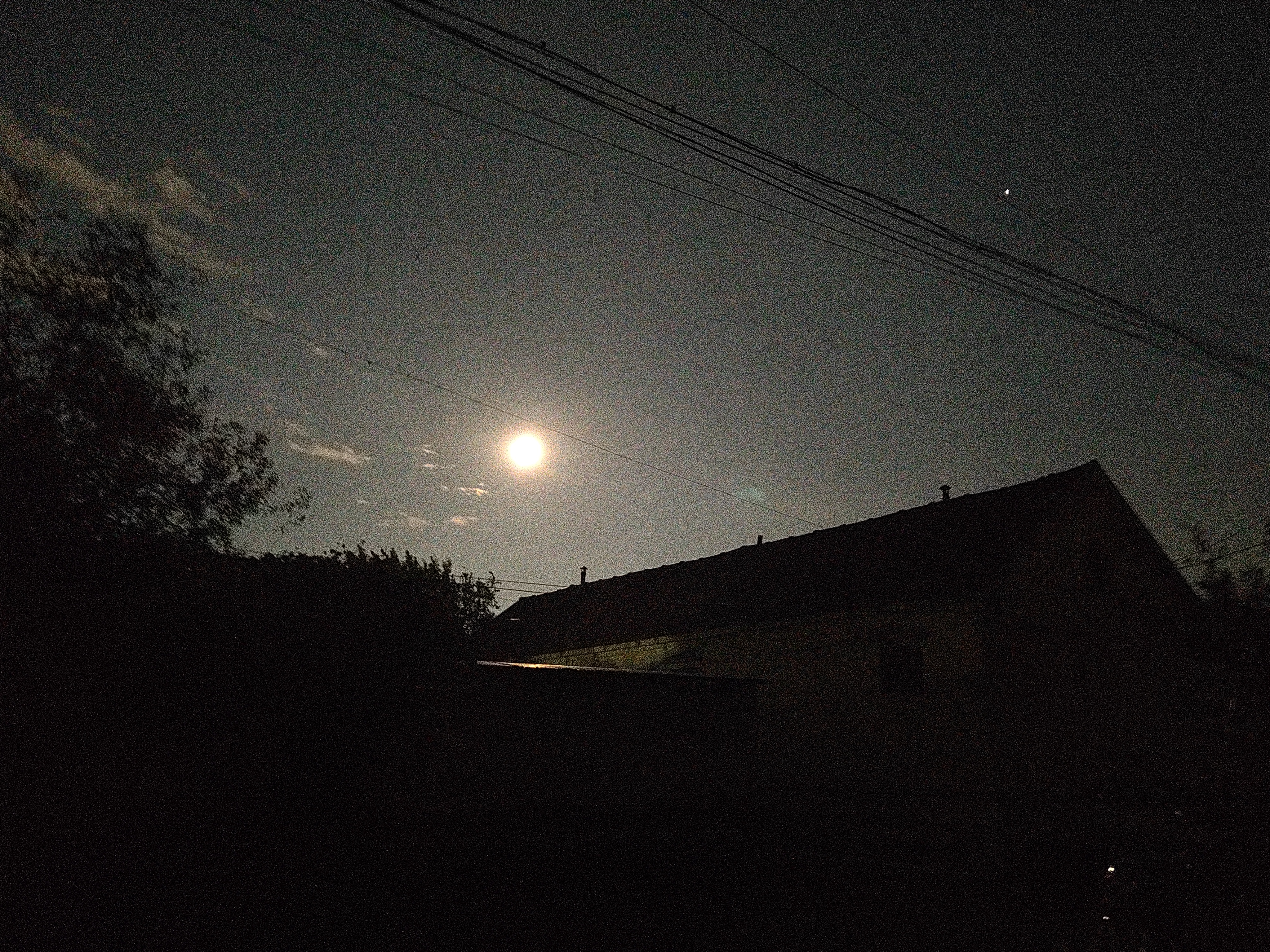 IMG_20210920_194259.jpg