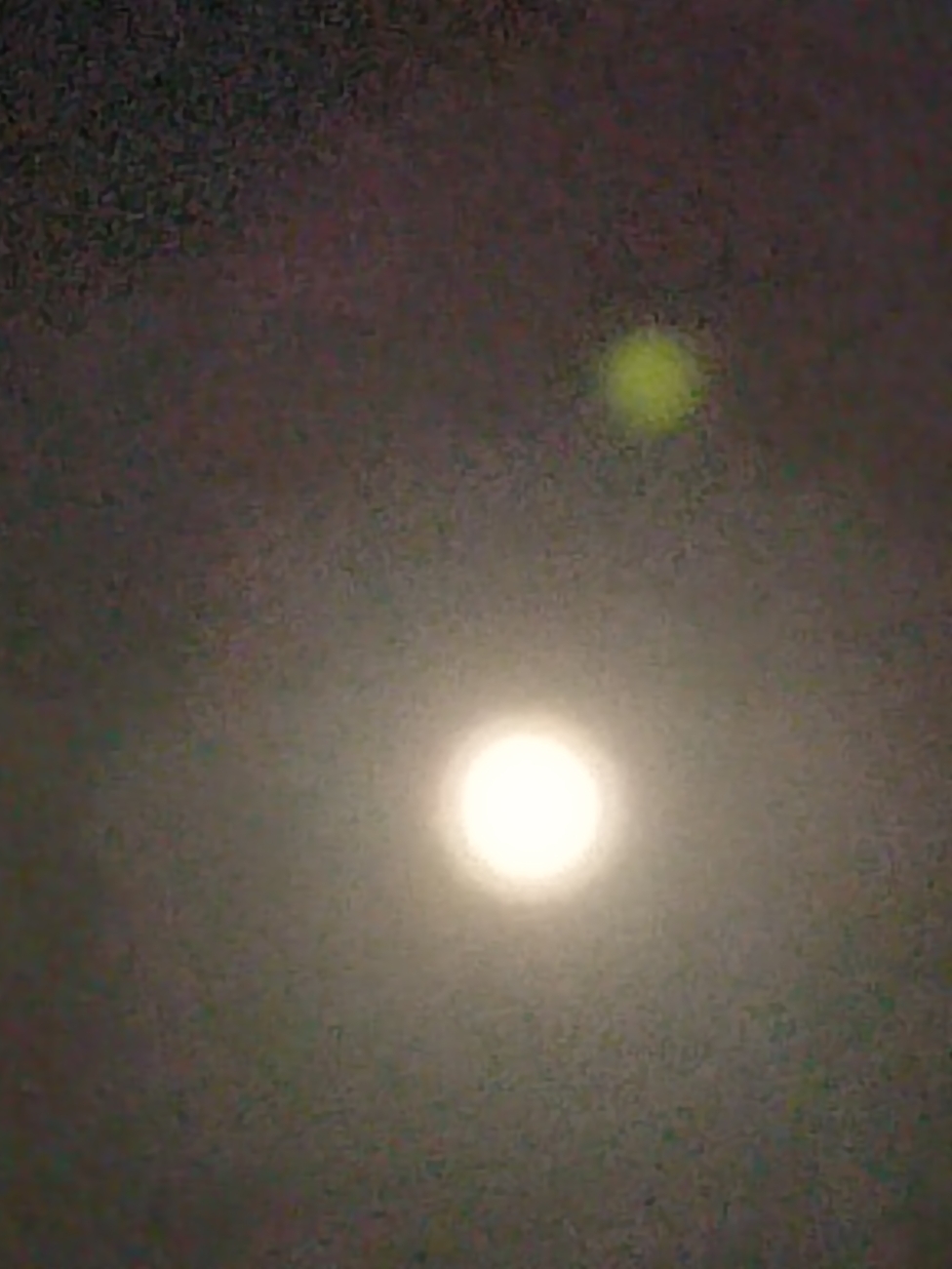 IMG_20210920_200933.jpg