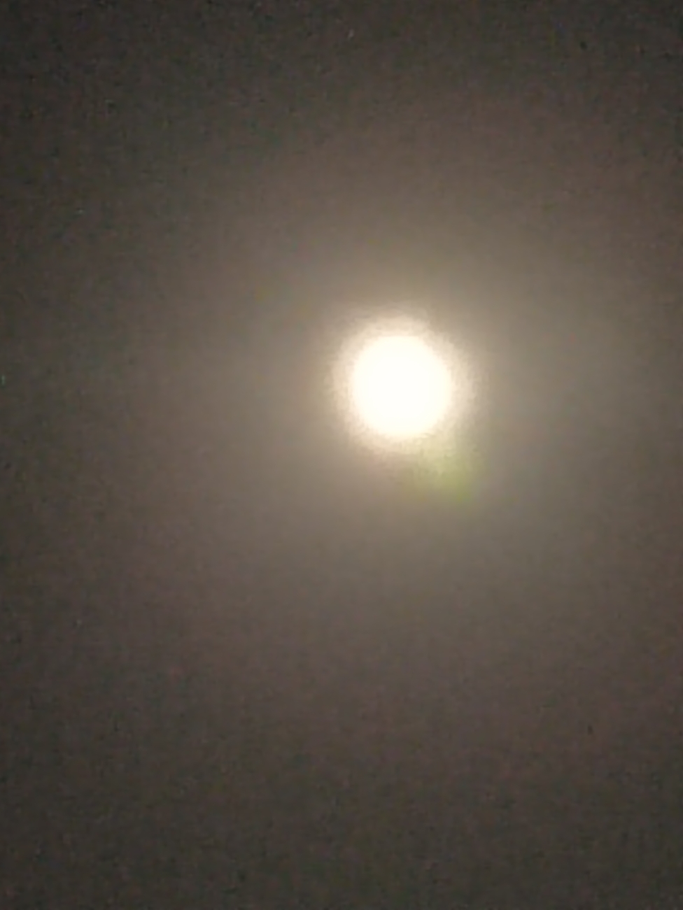 IMG_20210920_201036.jpg
