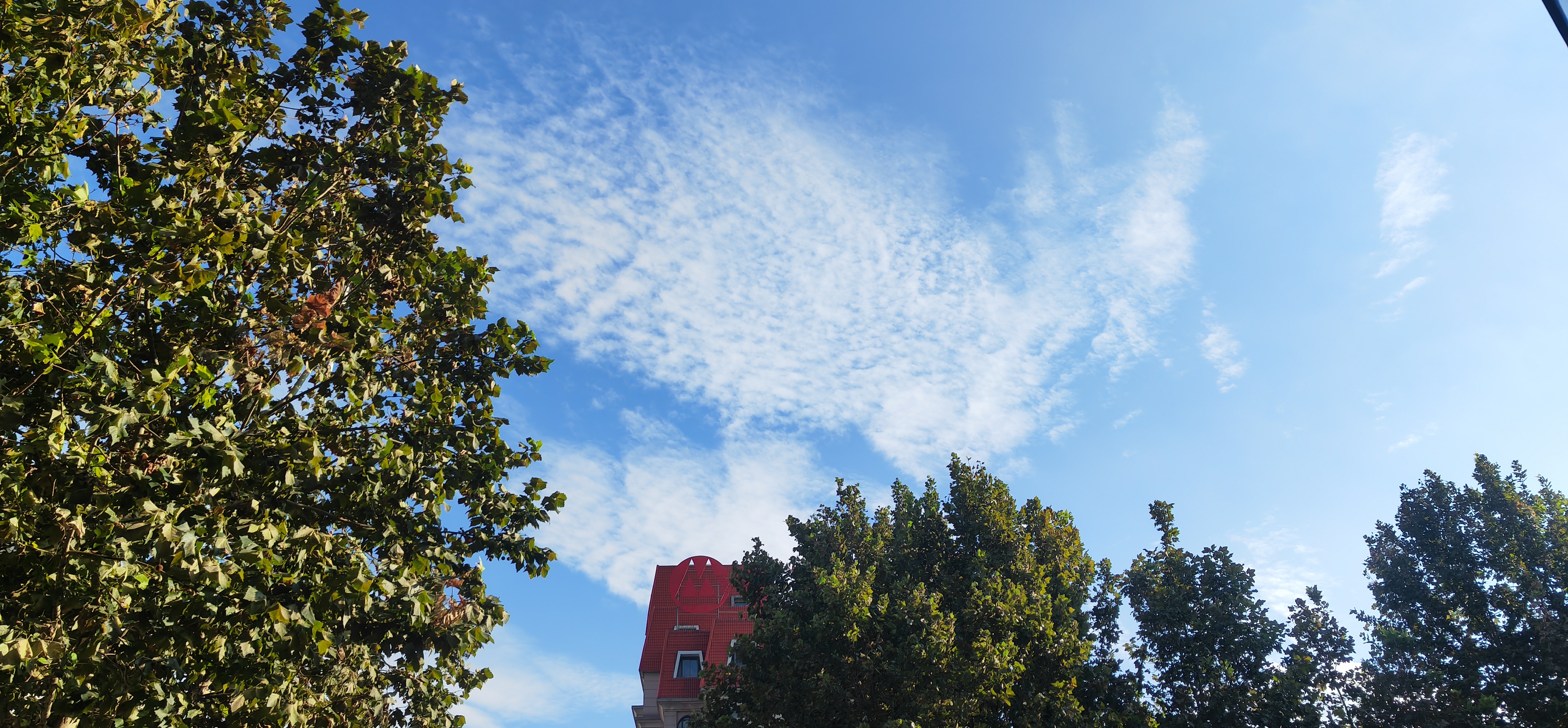 IMG_20210920_163020.jpg