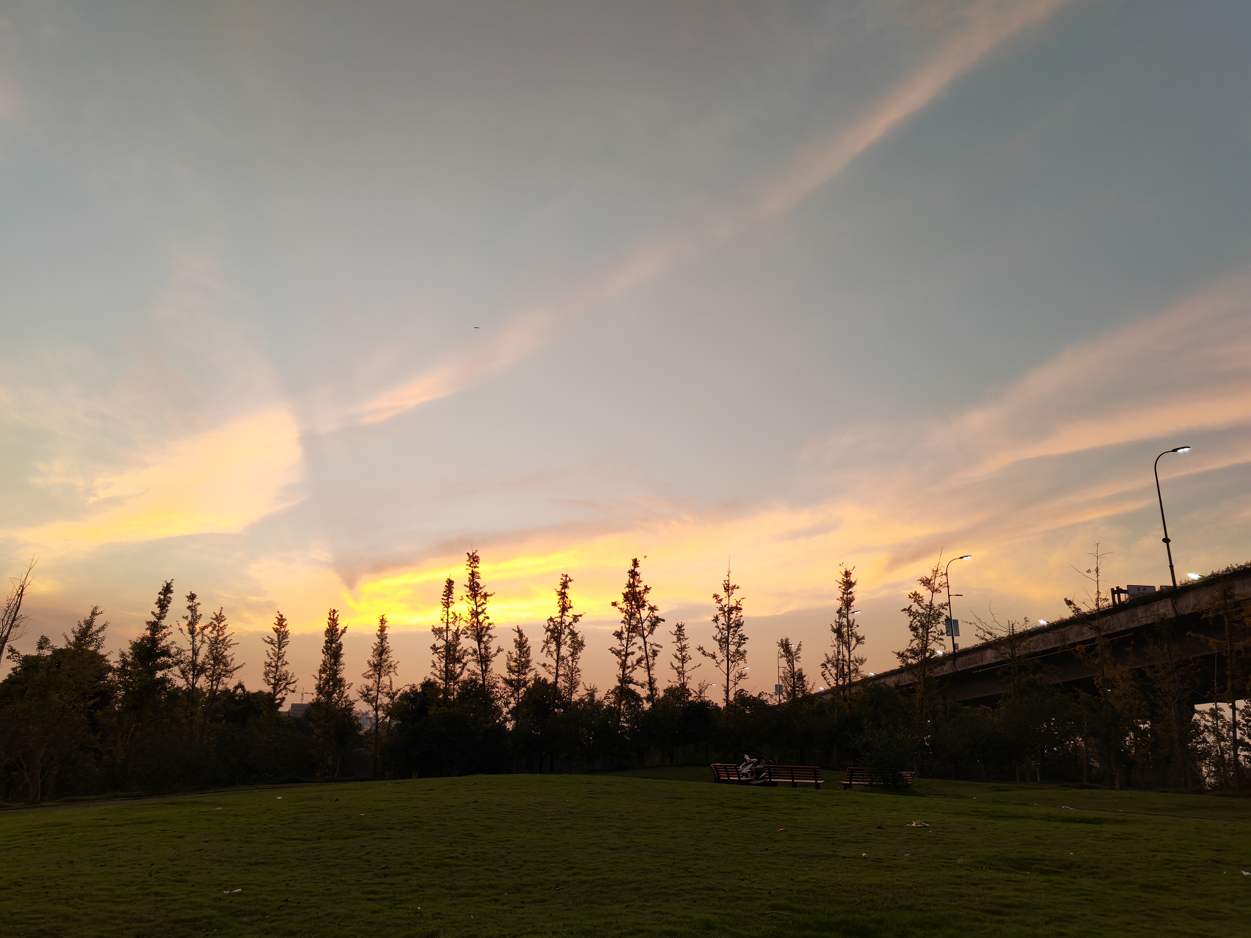 IMG_20210916_181216.jpg