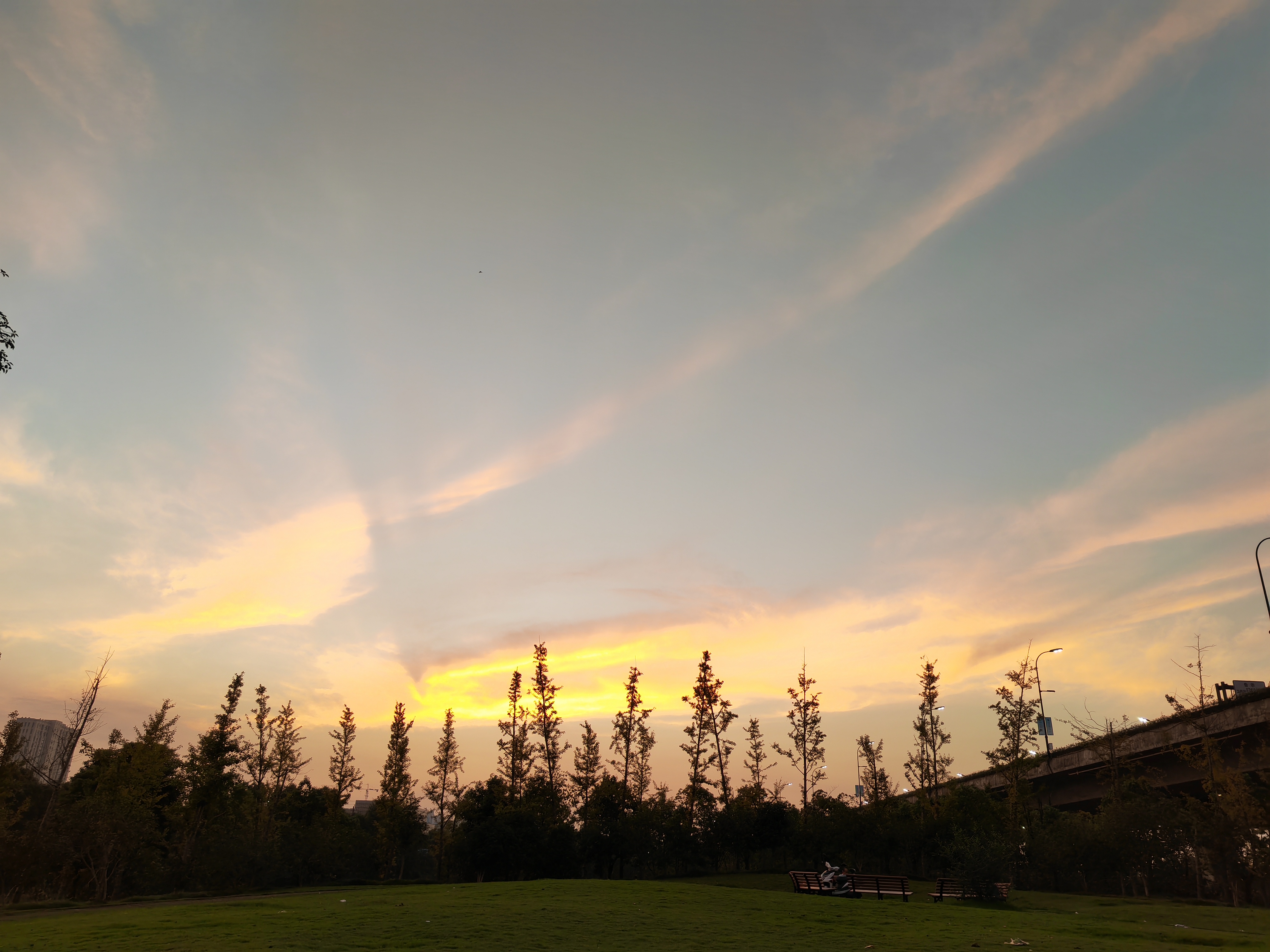 IMG_20210916_181213.jpg