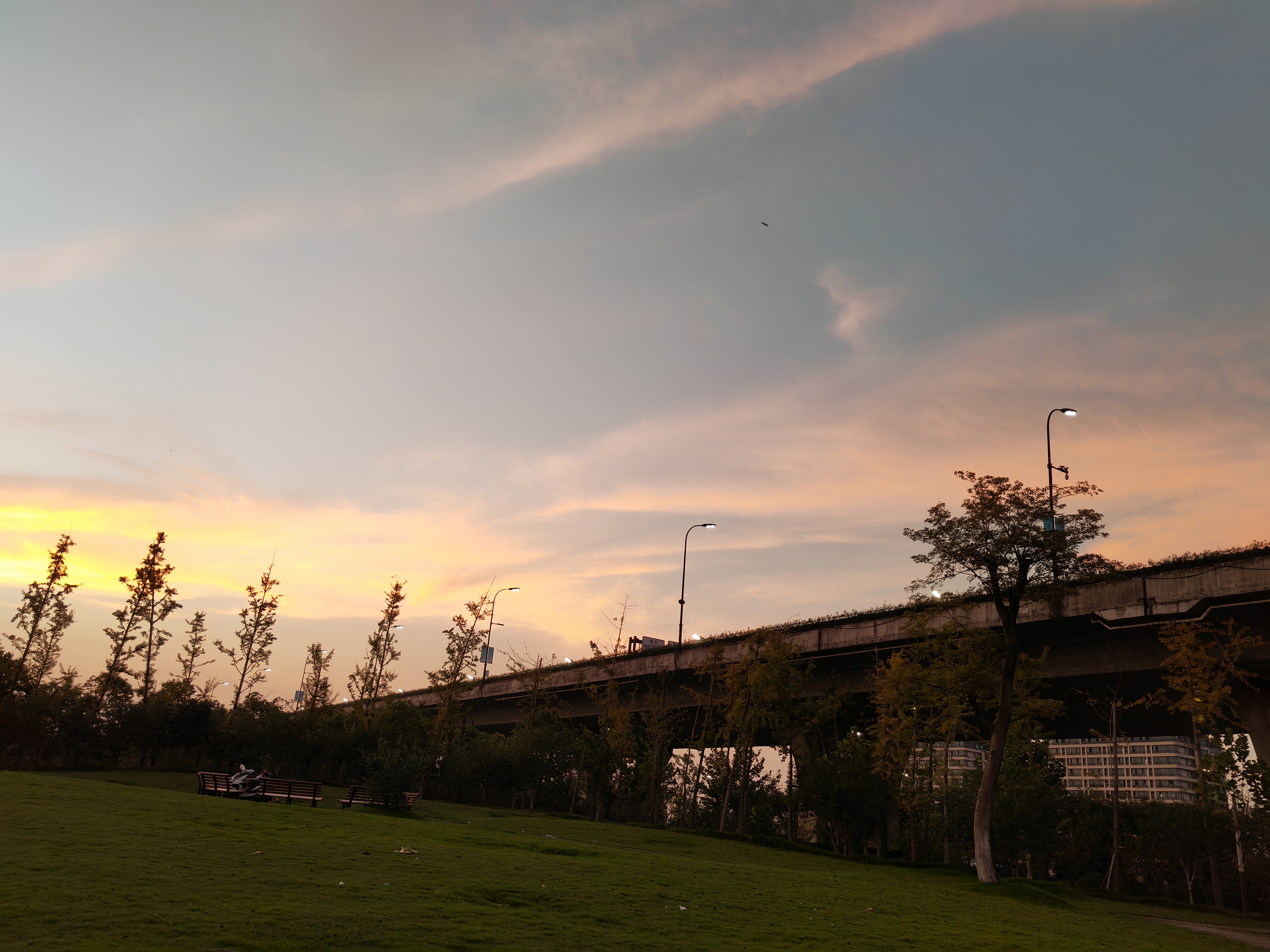 IMG_20210916_181232.jpg