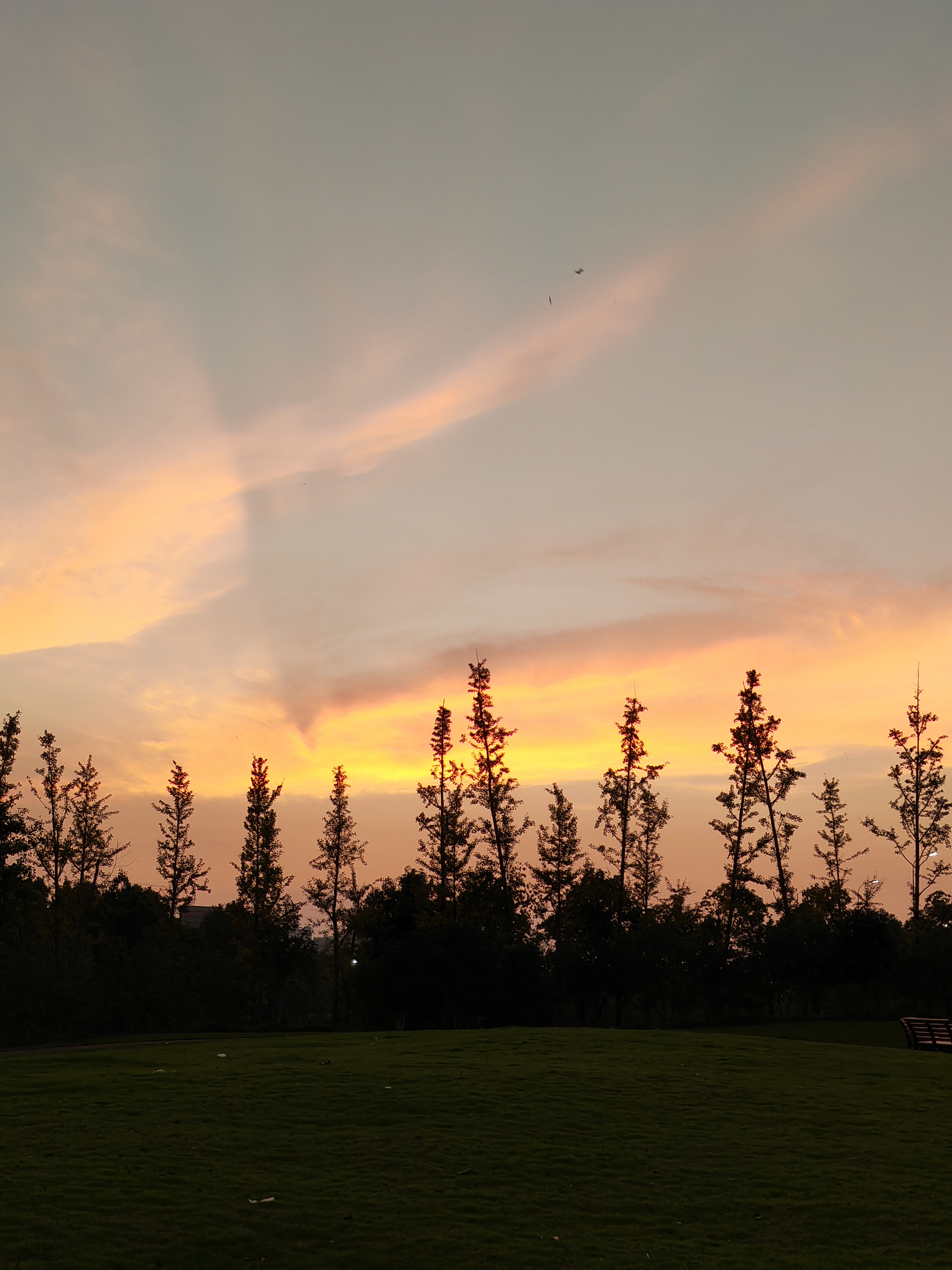 IMG_20210916_181433.jpg
