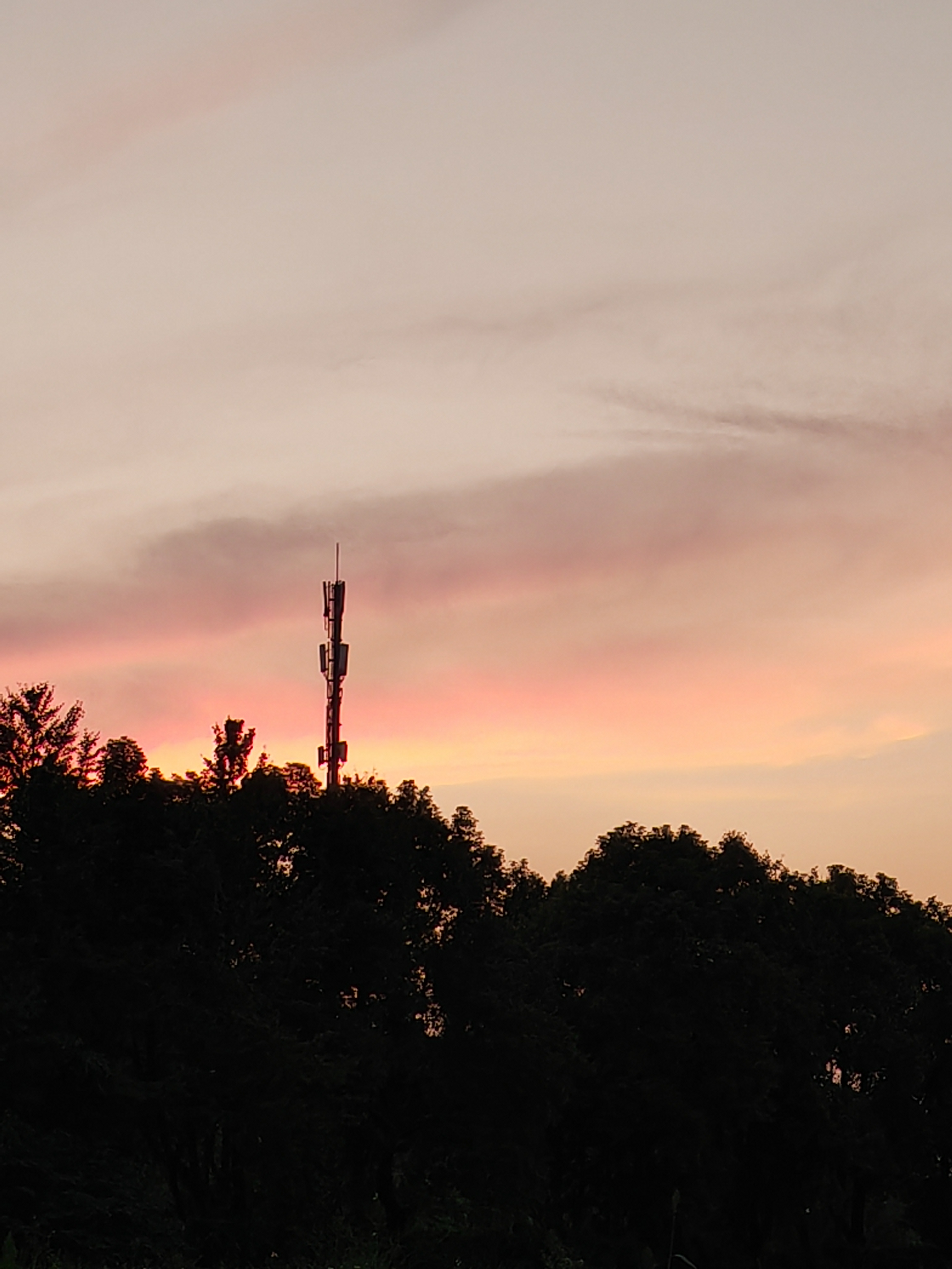 IMG_20210916_181830.jpg