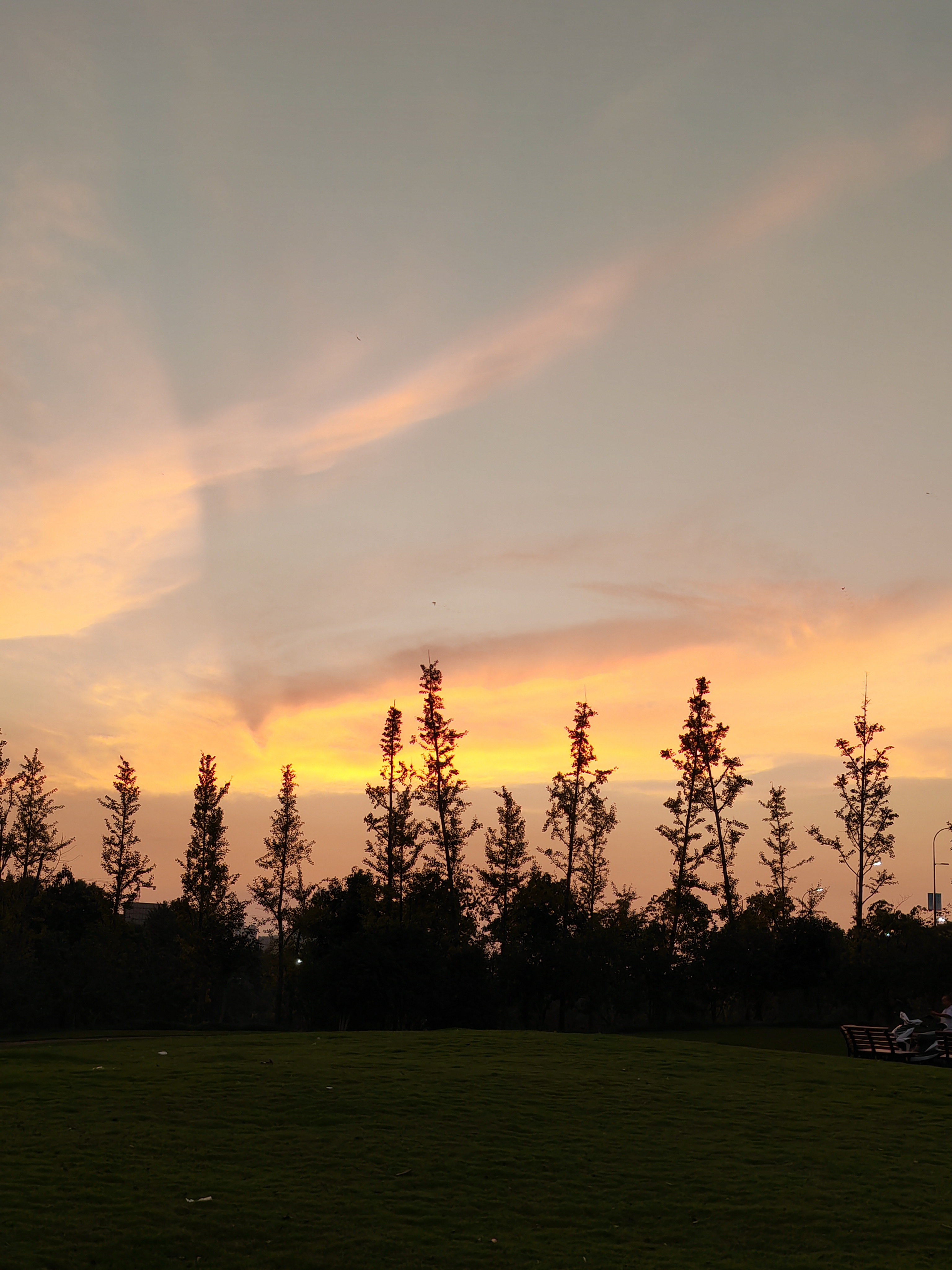 IMG_20210916_181436.jpg