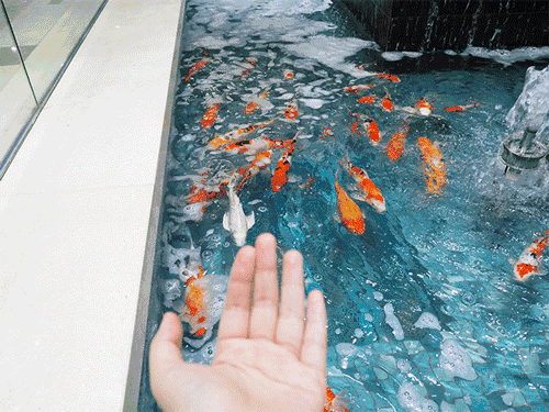 img-1626573262654594fb883ly1gsk6ynbnjyg20dw0afb29.gif