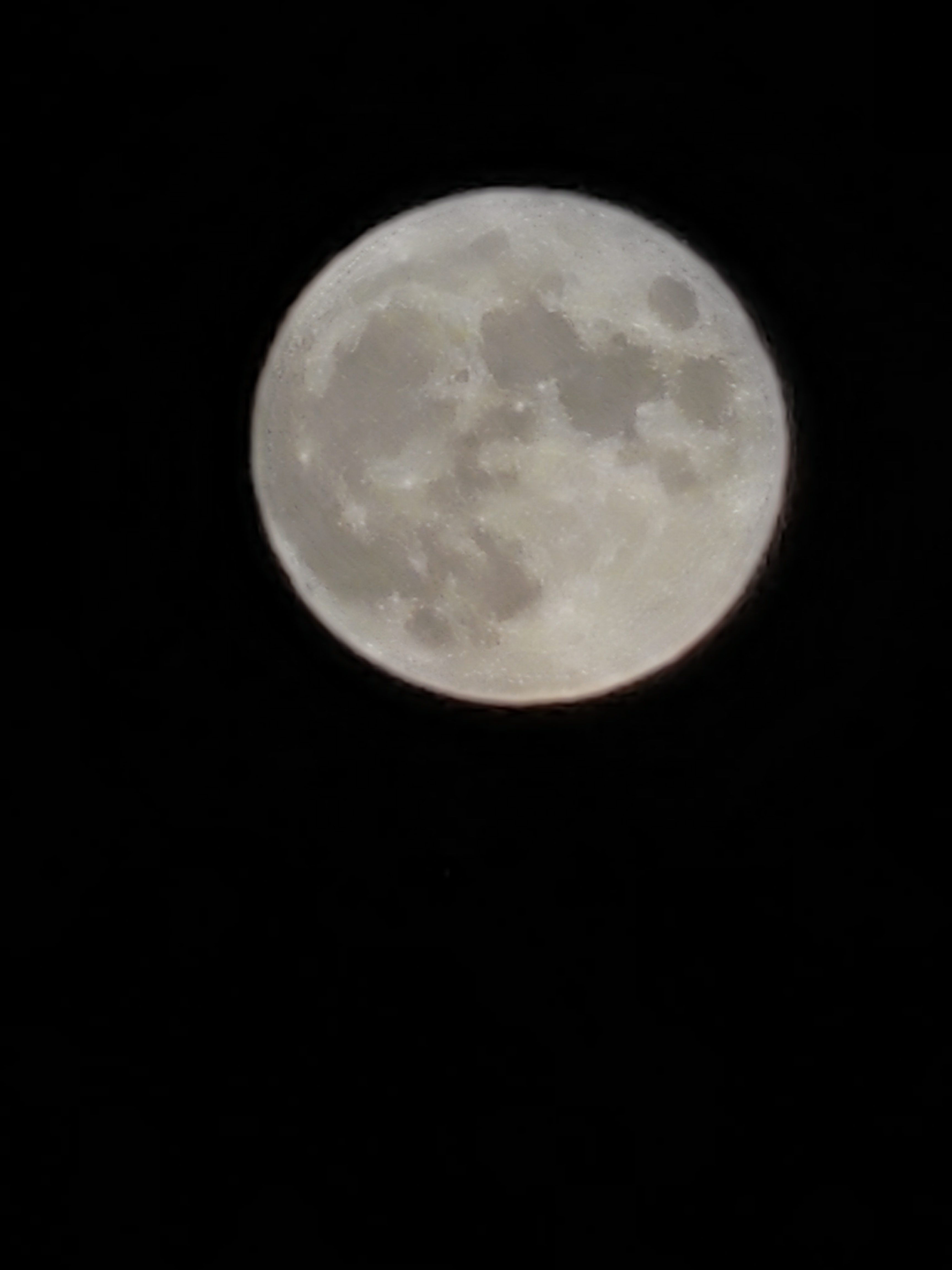 IMG_20210921_190555.jpg