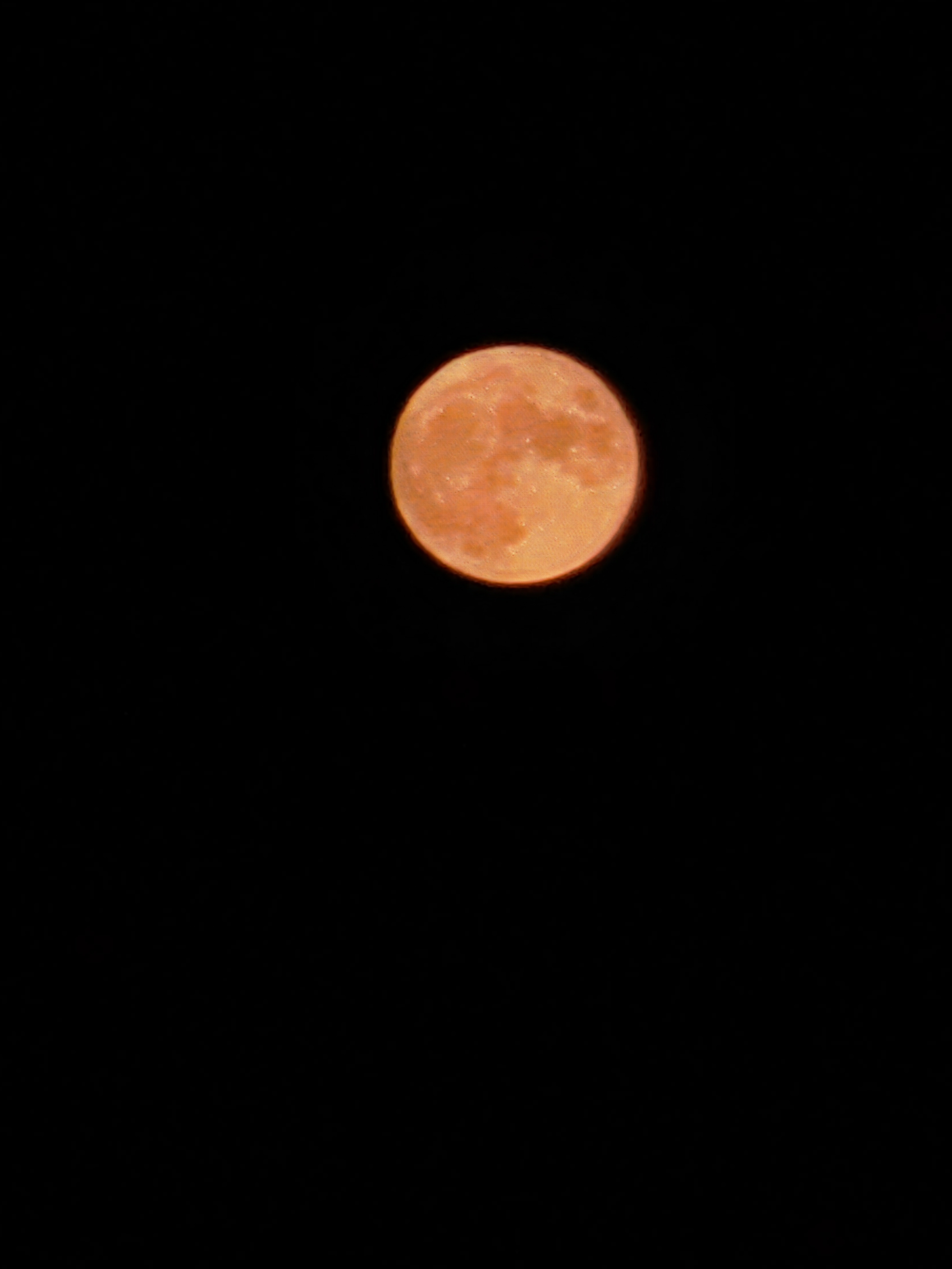 IMG_20210921_190647.jpg