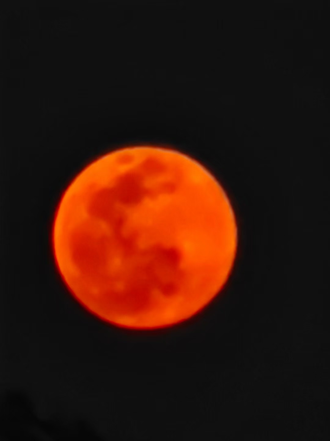 mmexport1632227055089.jpg