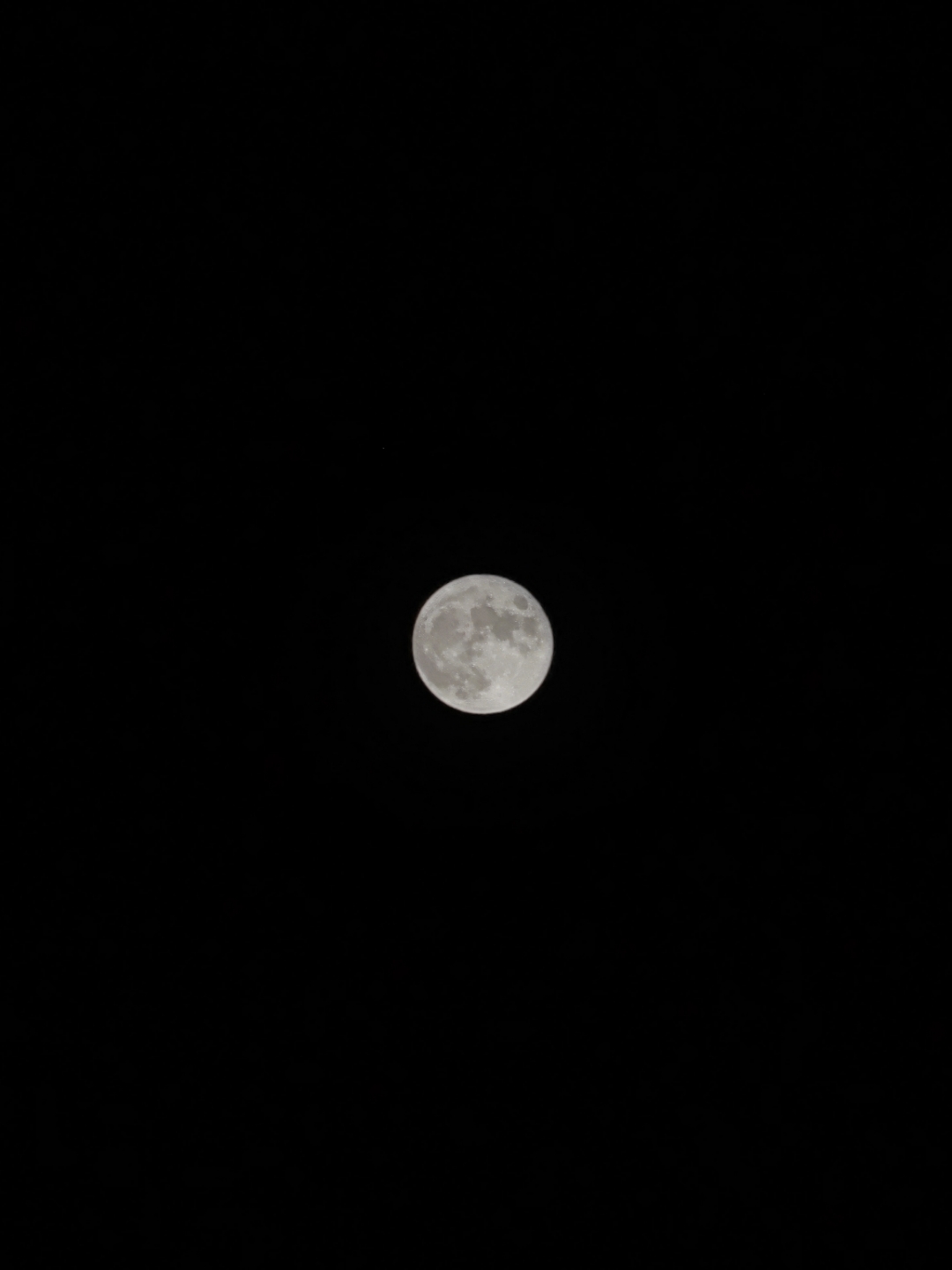 IMG_20210921_201432.jpg