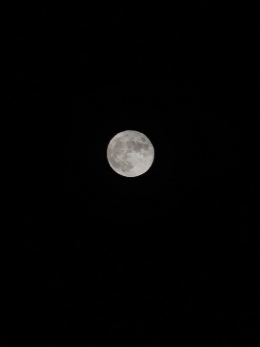 IMG_20210921_201512.jpg