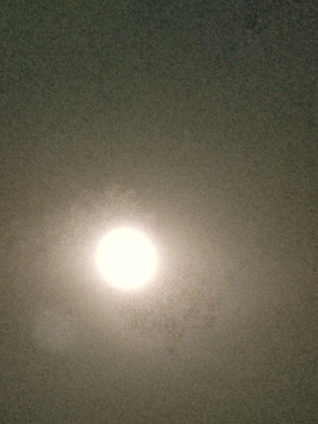 IMG_20210921_201156.jpg