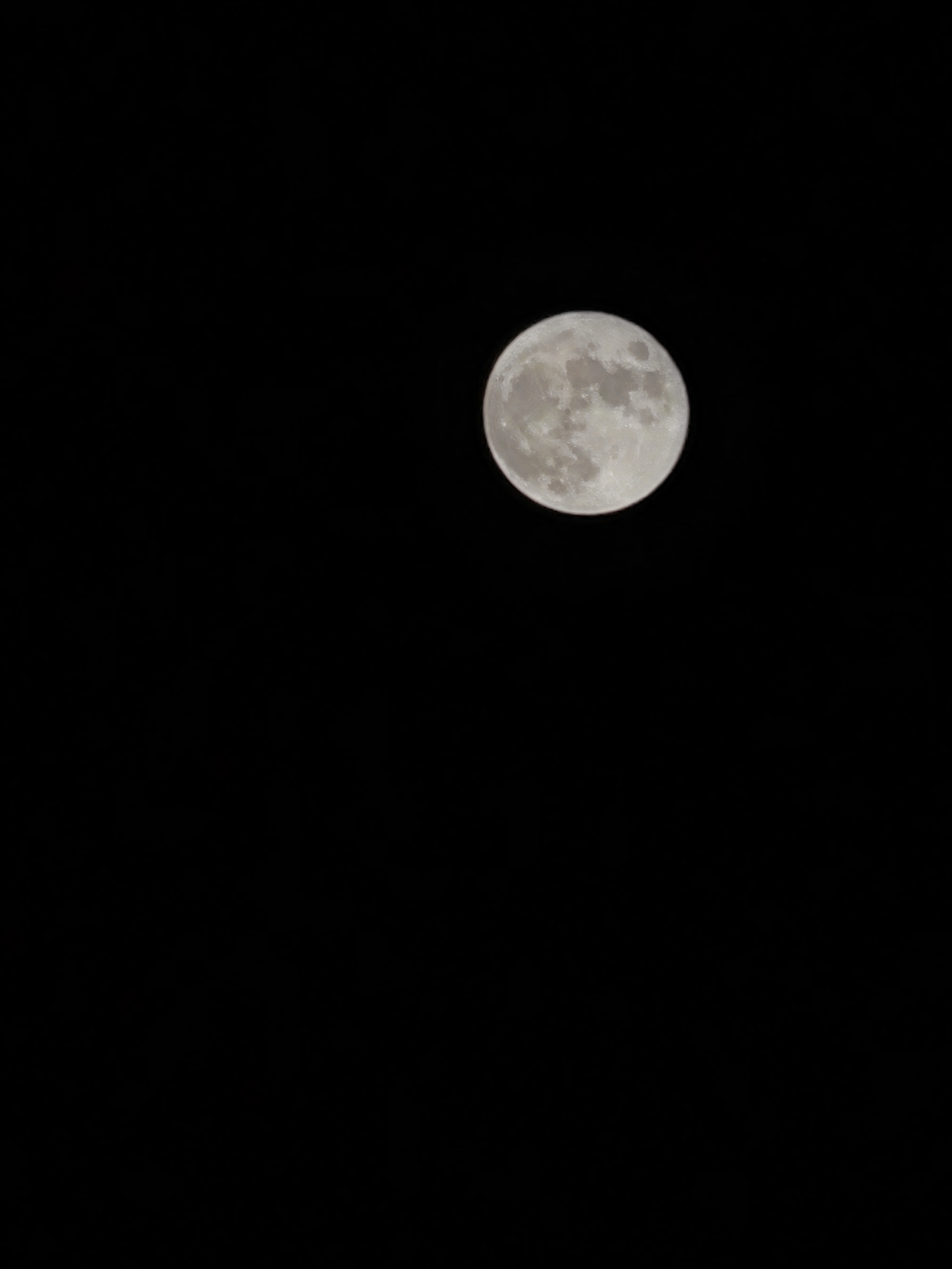 IMG_20210921_193413.jpg
