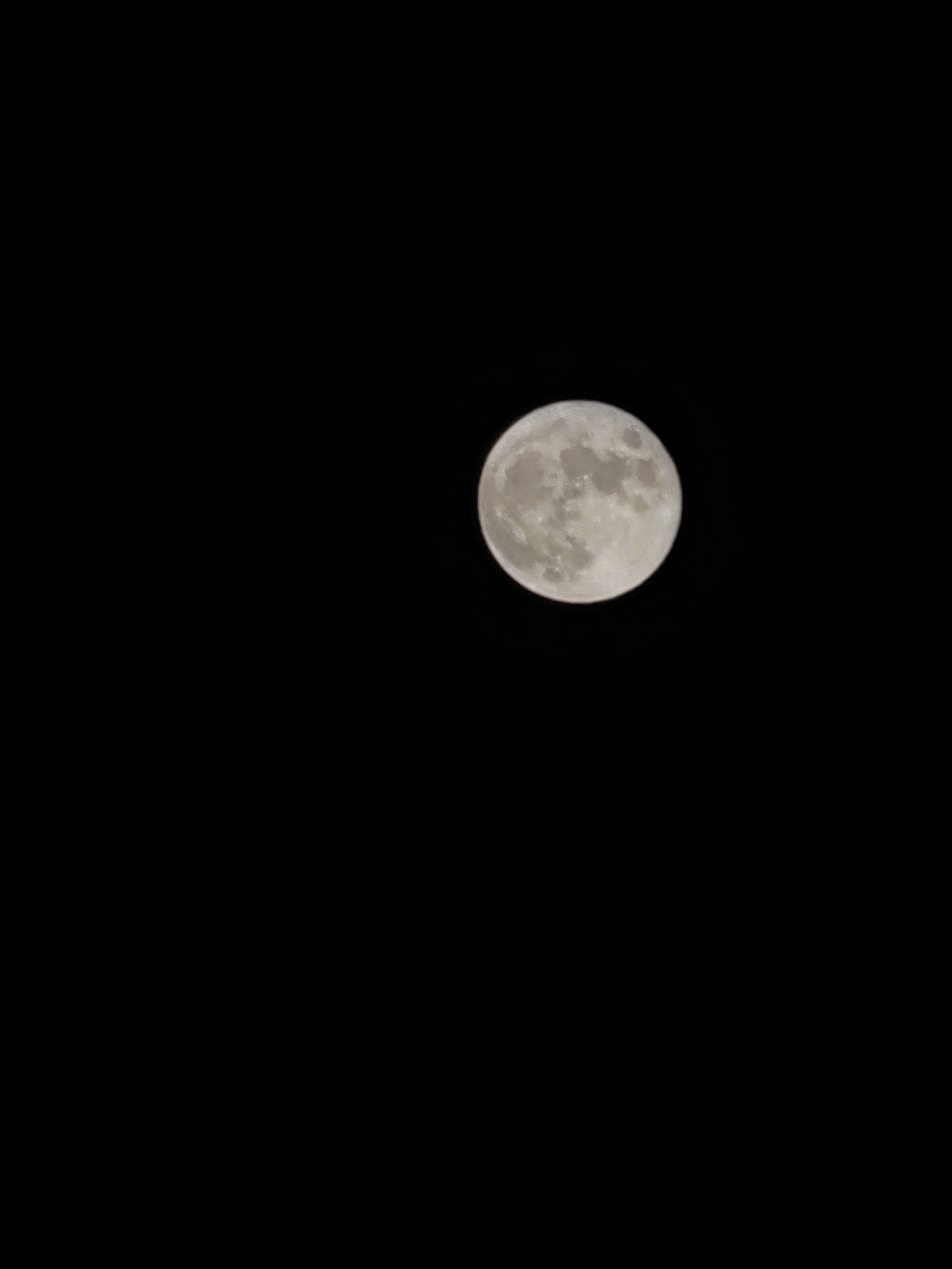 IMG_20210921_194120.jpg