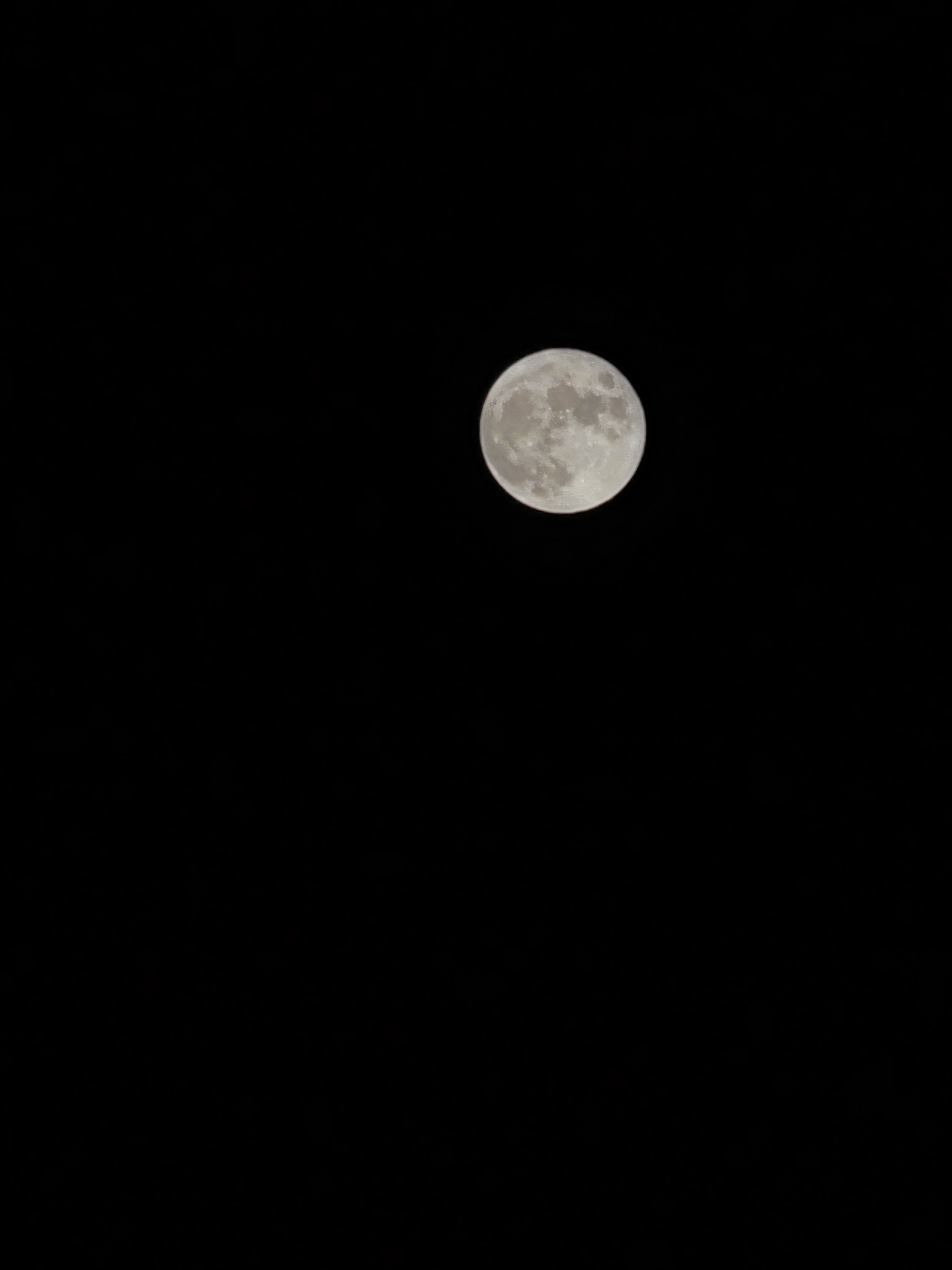 IMG_20210921_194059.jpg