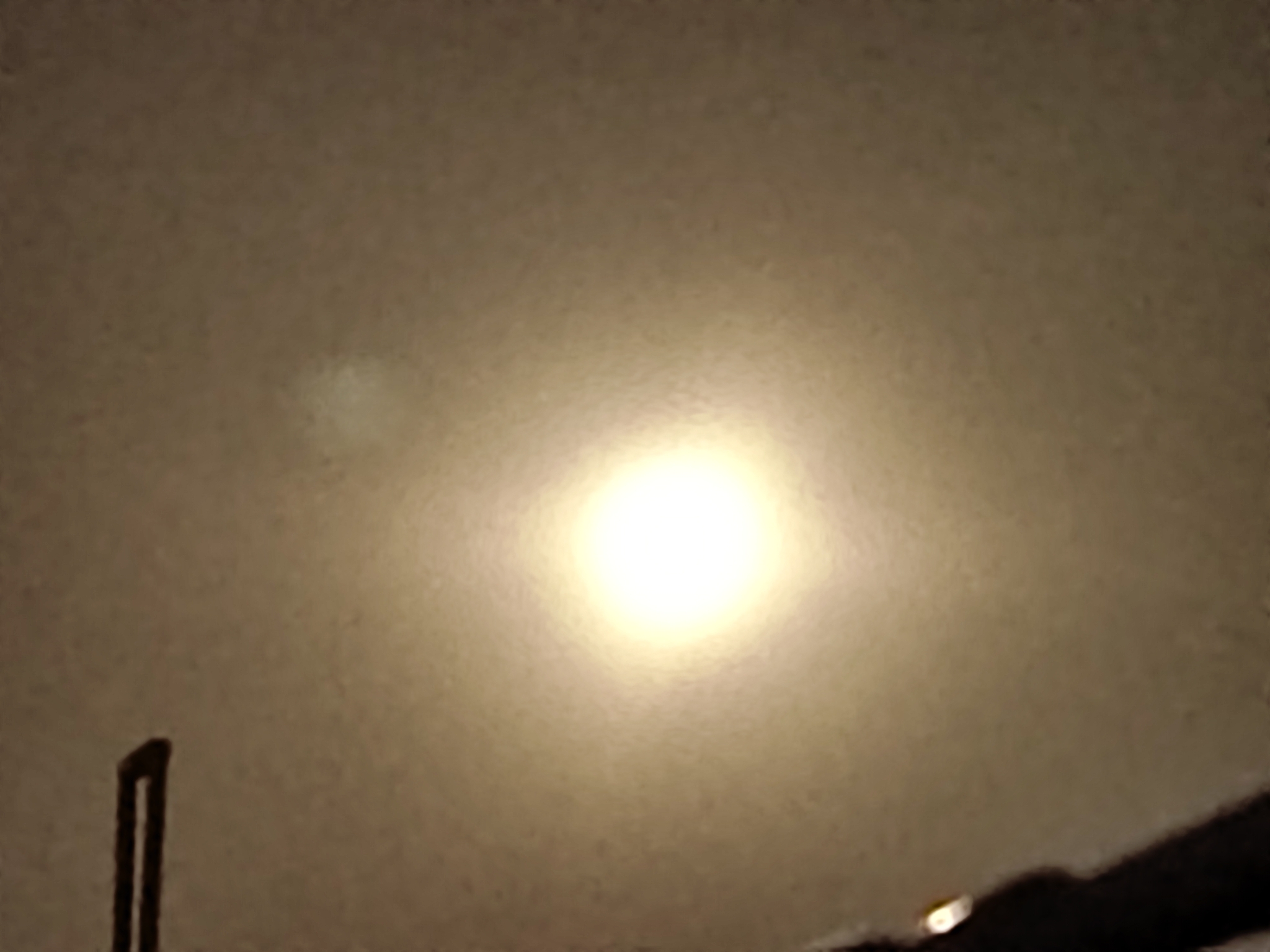 IMG_20210921_194159.jpg