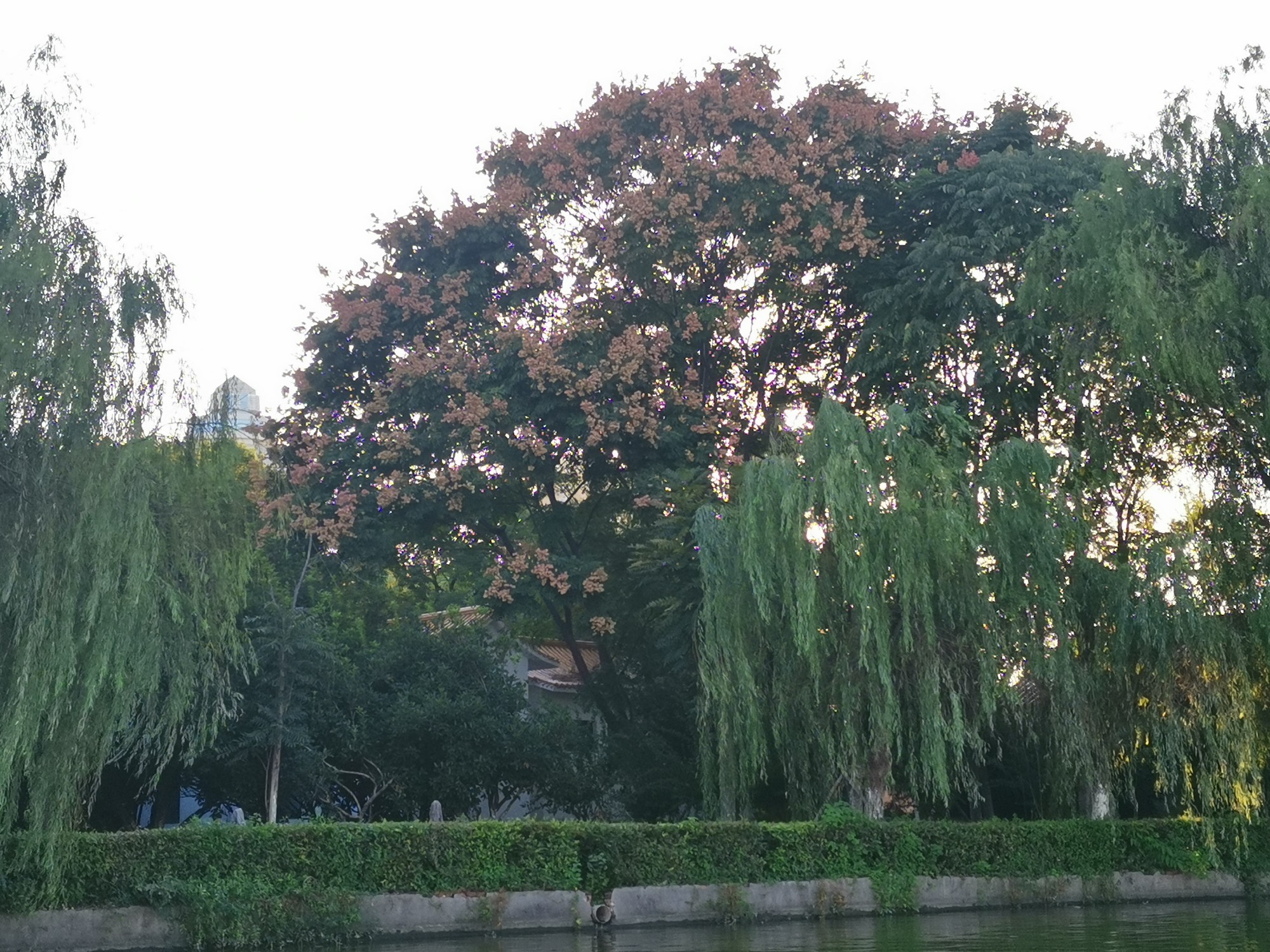 IMG_20210920_173714.jpg