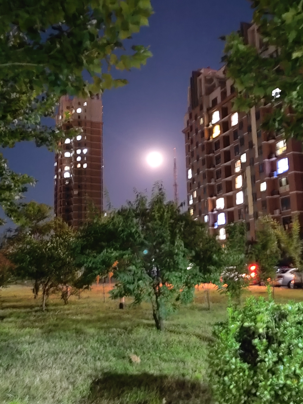 IMG_20210921_201027.jpg