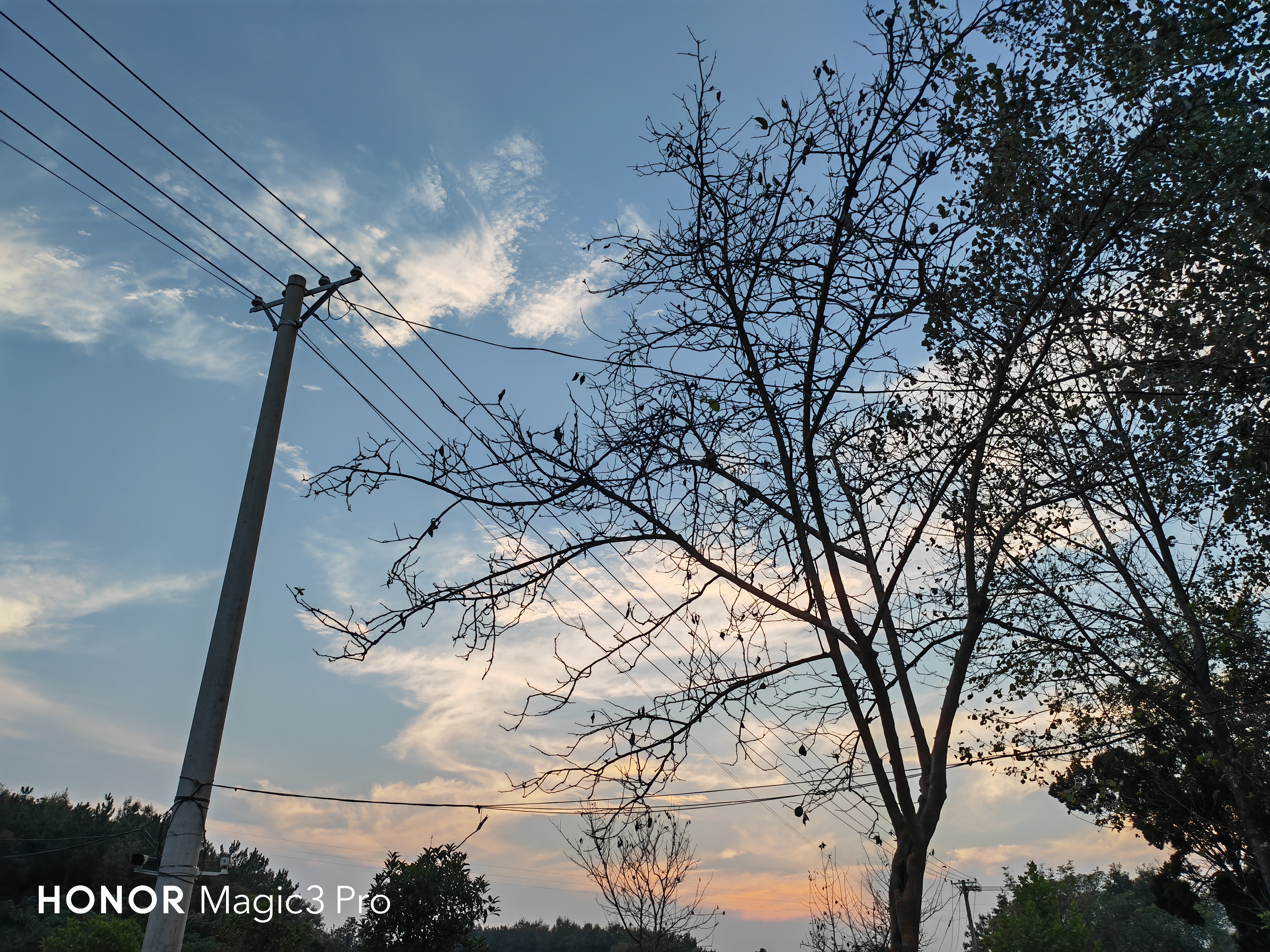 IMG_20210924_175536.jpg