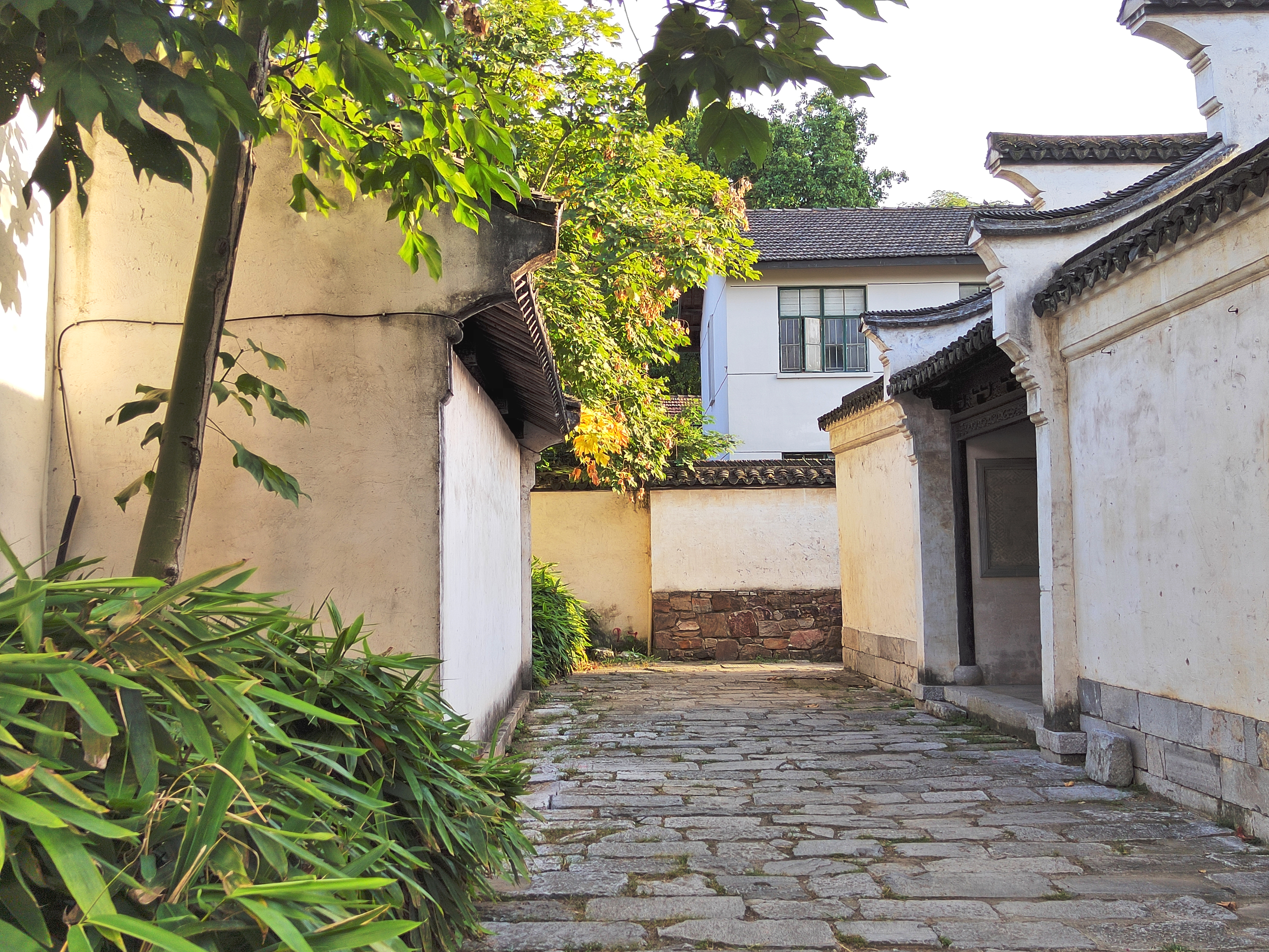 InterPhoto_1632590011524.jpg