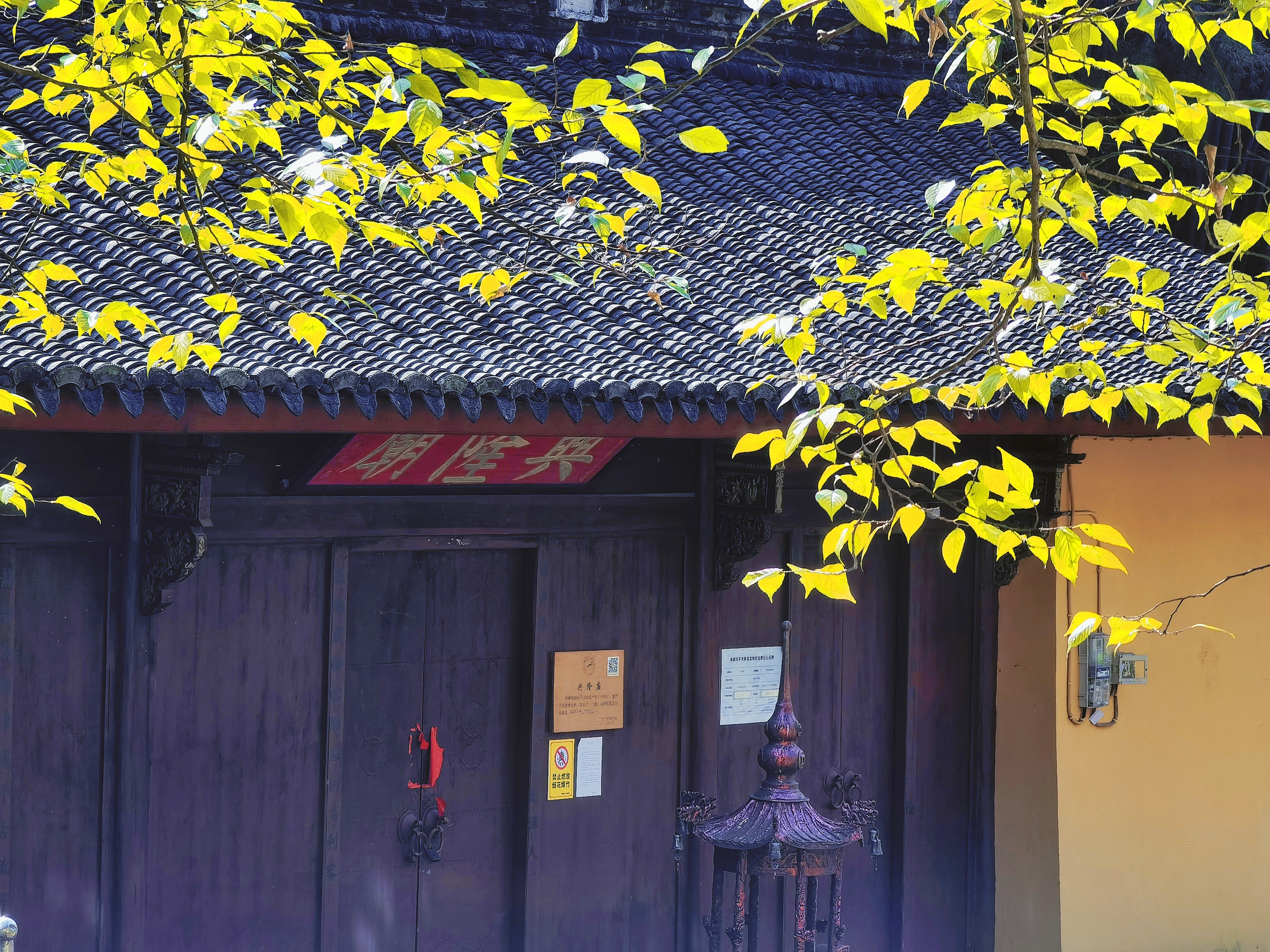 retouch_2021092515520734.jpg
