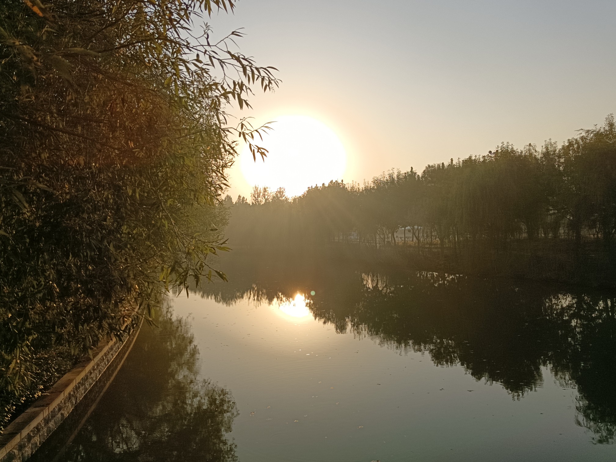 IMG_20210922_064427.jpg