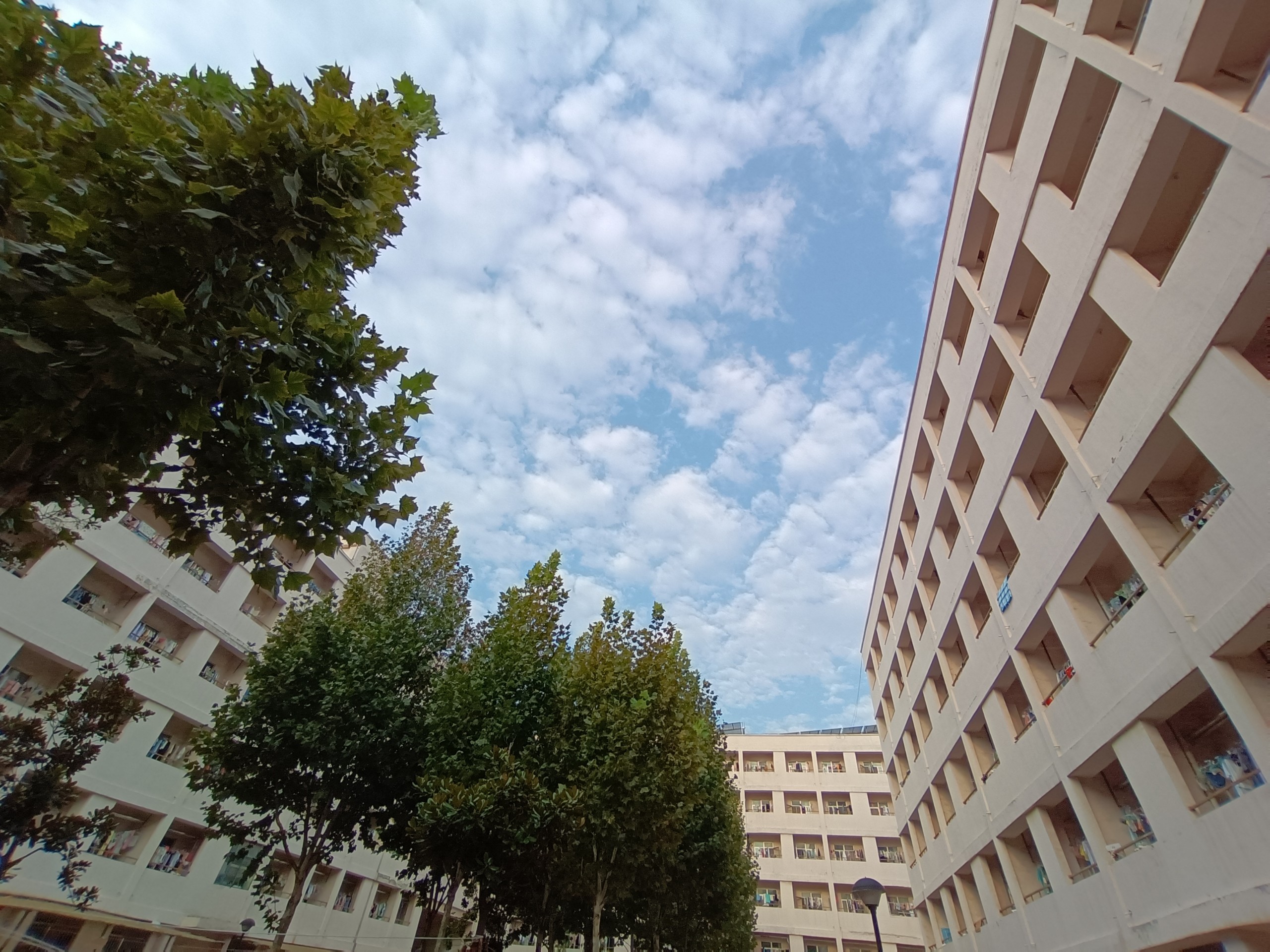 IMG_20210924_072039.jpg