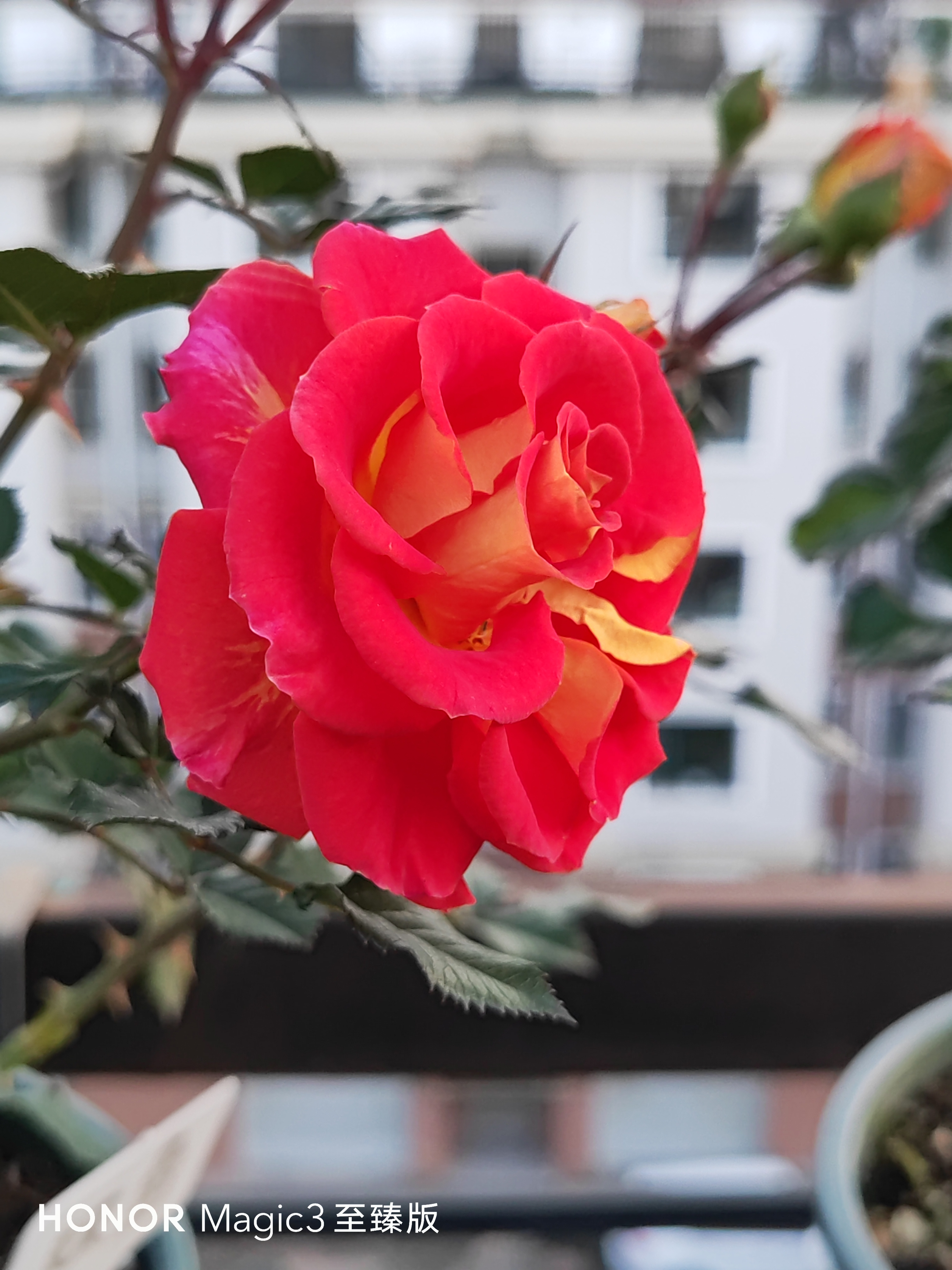 IMG_20210926_165057.jpg