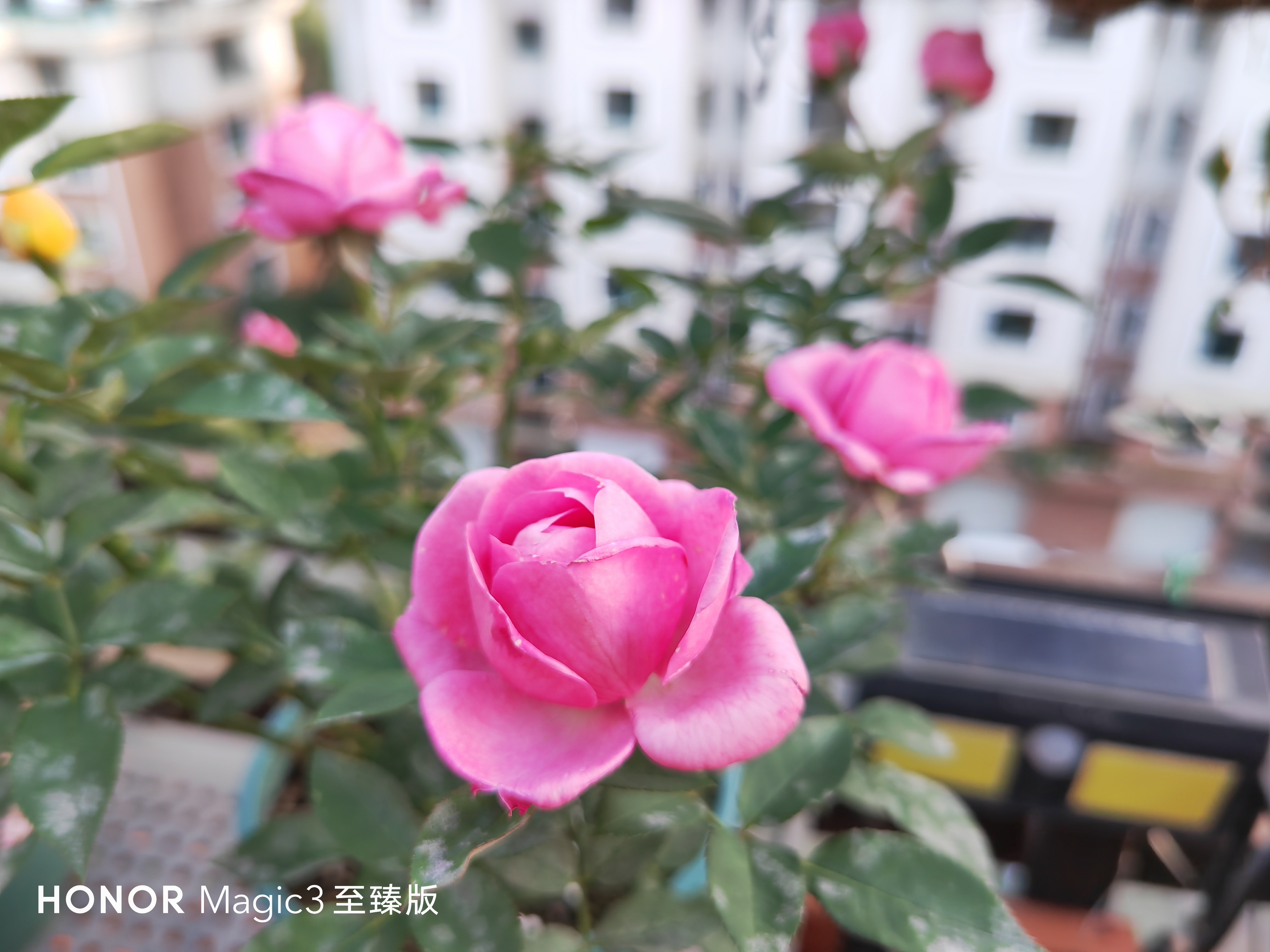 IMG_20210926_164851.jpg
