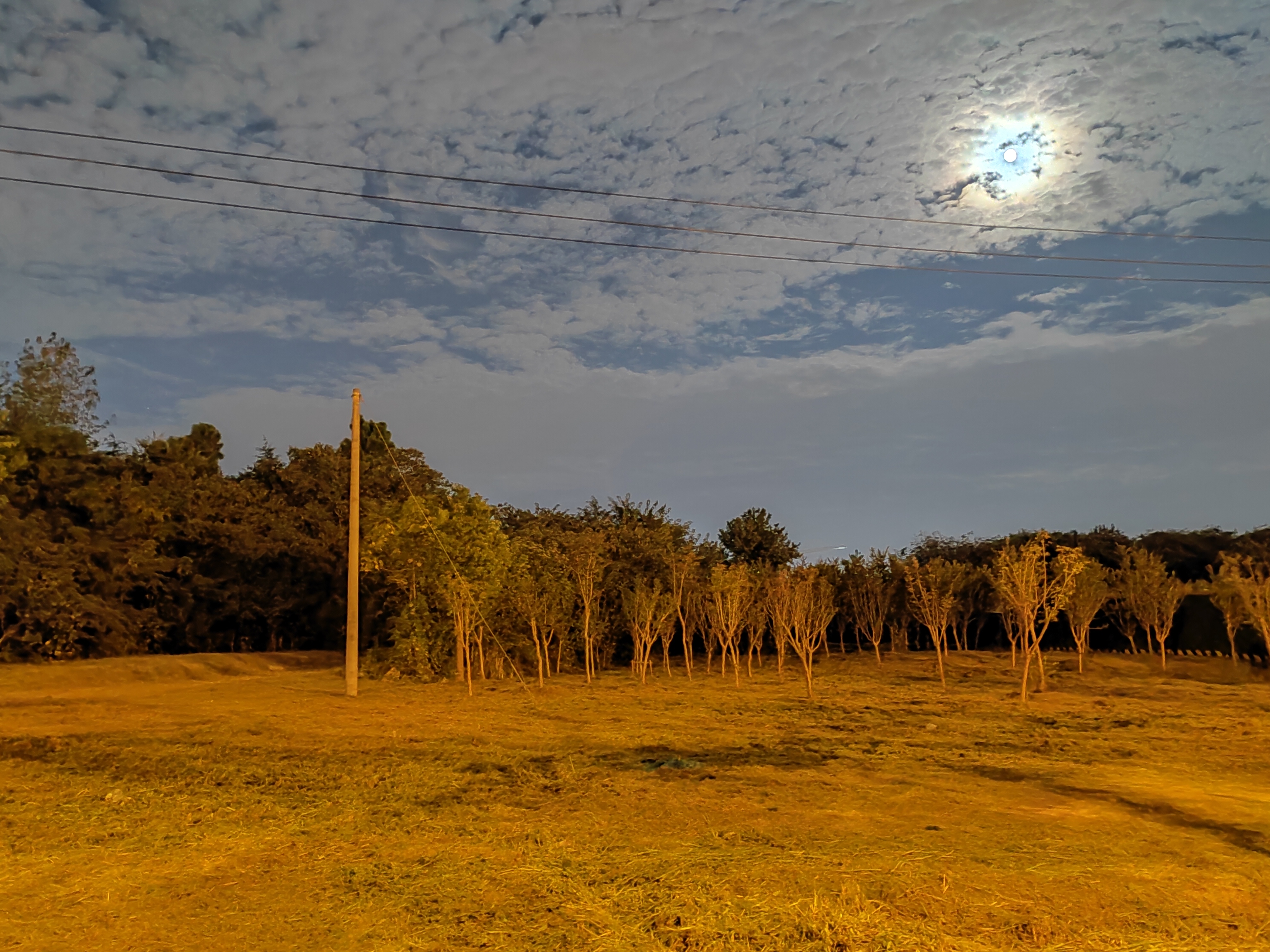IMG_20210920_201814.jpg
