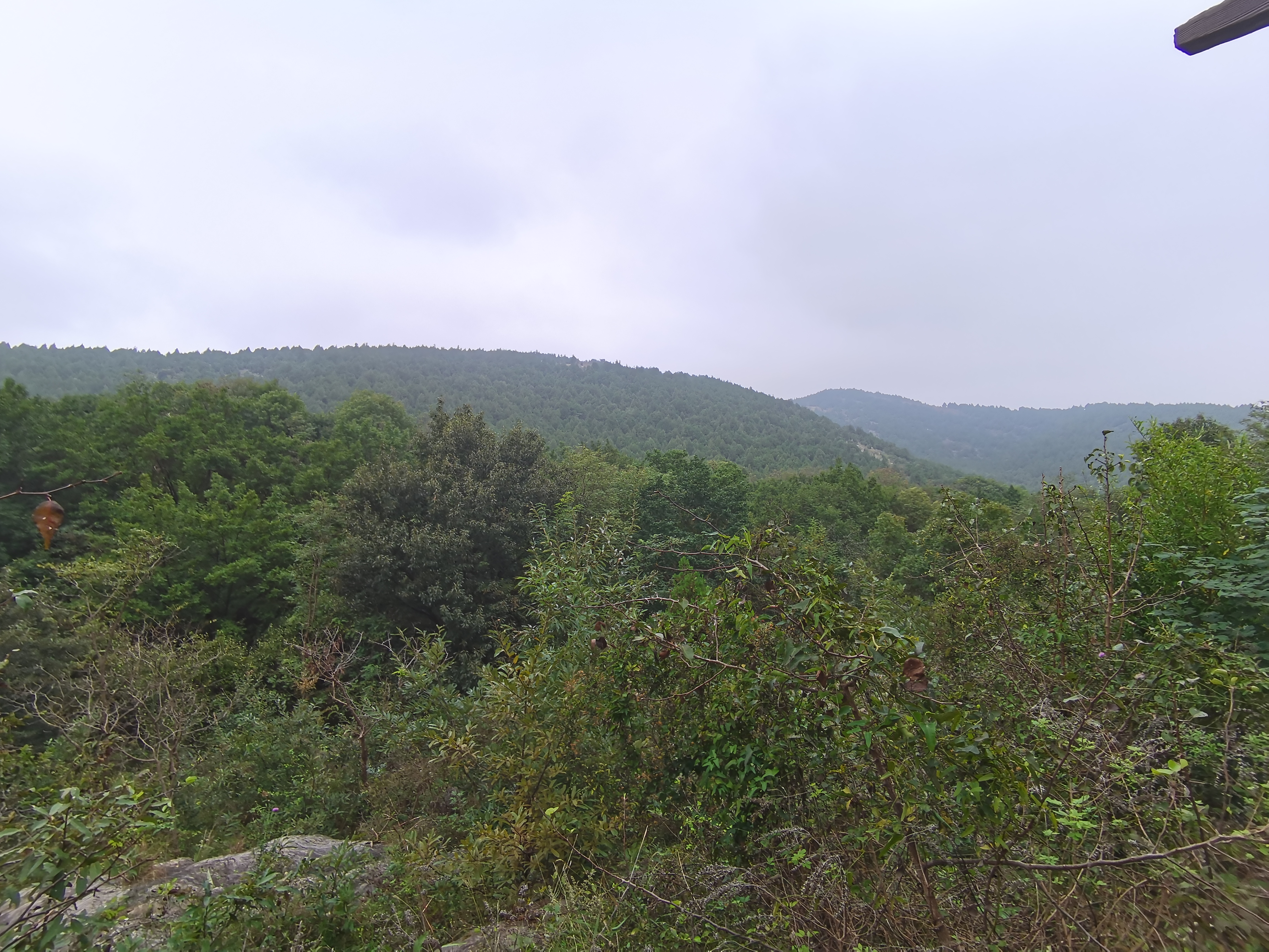 IMG_20210927_111818.jpg